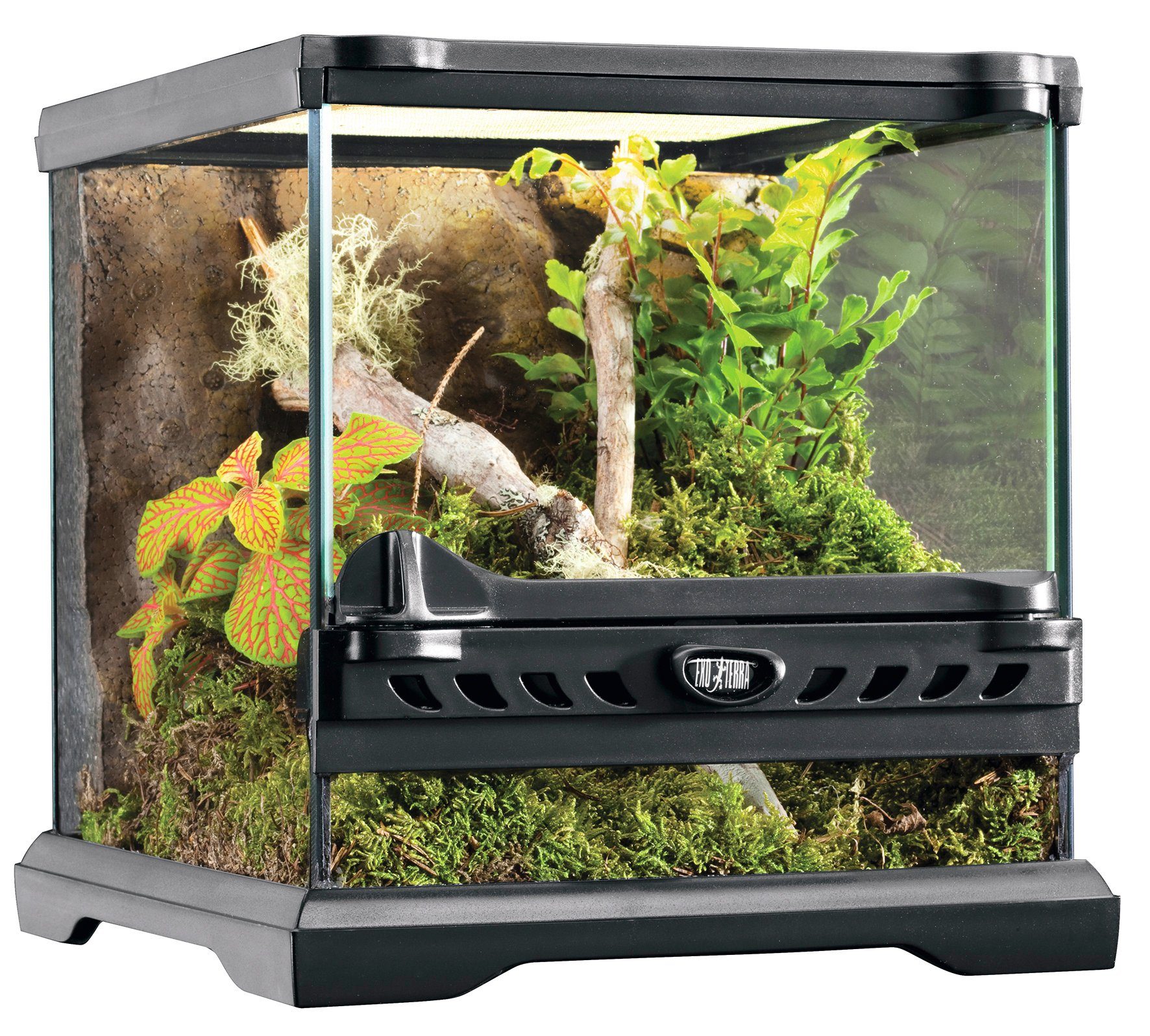 Exo Terra Terrarium, BxTxH 23,2x23,2x24,3 cm OTTO