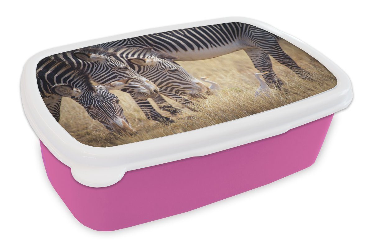 Brotbox Kunststoff, - MuchoWow Brotdose Kunststoff (2-tlg), Mädchen, Weiden Snackbox, - Kinder, Zebra für Erwachsene, Safari, Lunchbox rosa