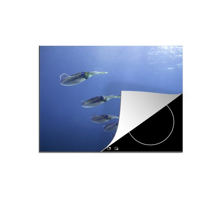 MuchoWow Herdblende-/Abdeckplatte Tintenfisch - Tiere - Meer Vinyl (1 tlg) Mobile Arbeitsfläche nutzbar Ceranfeldabdeckung
