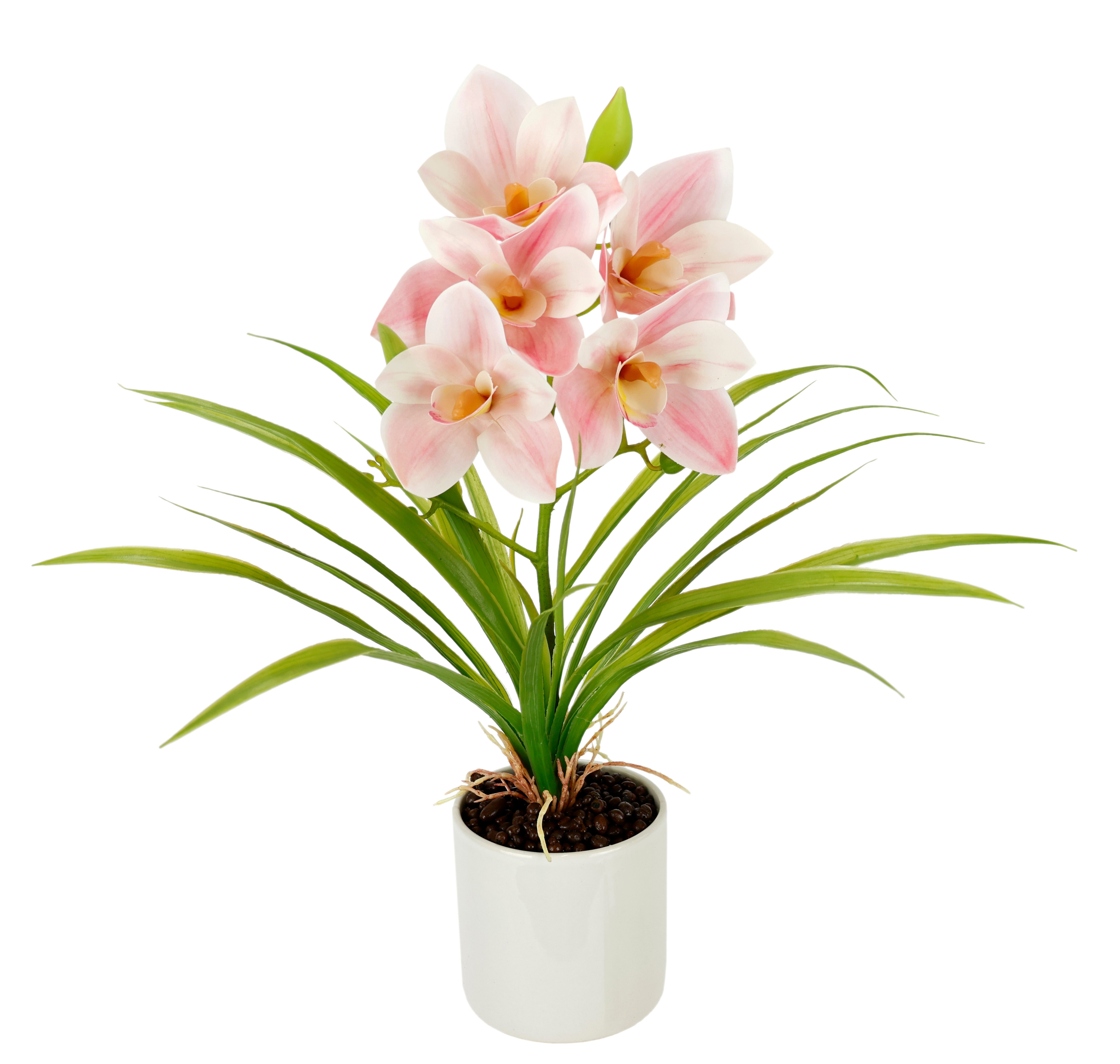 Kunstorchidee Orchidee Phalaenopsis im Topf, I.GE.A., günstig online kaufen