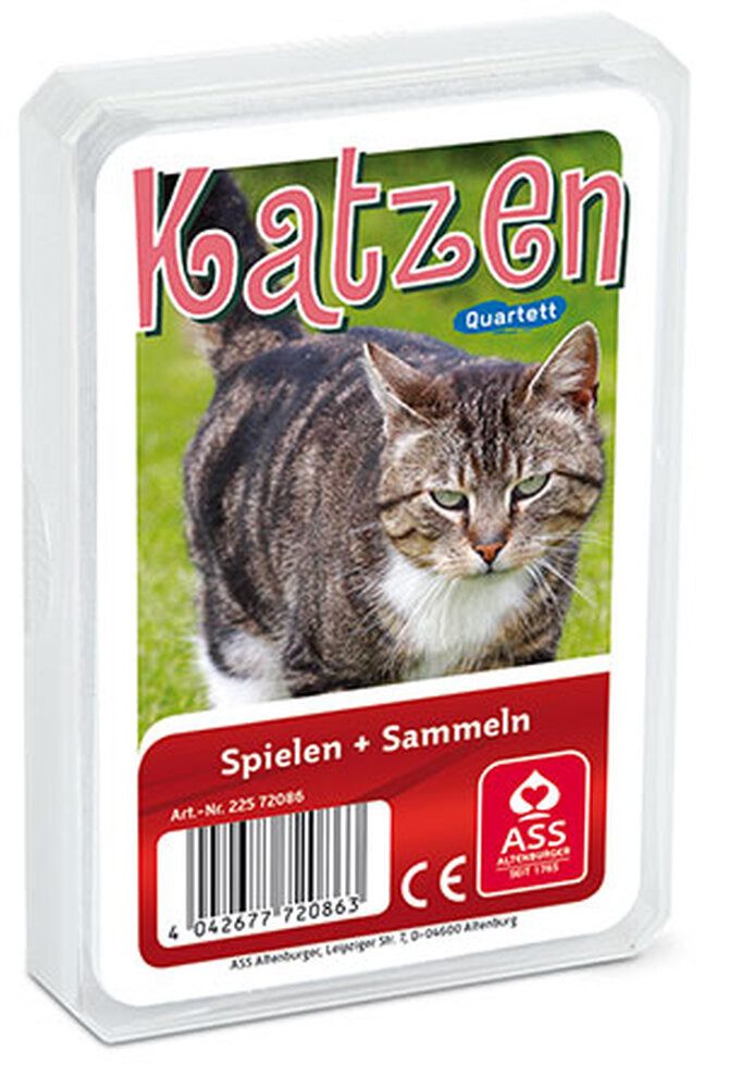 Spiel Tier-Quartett - Katzen