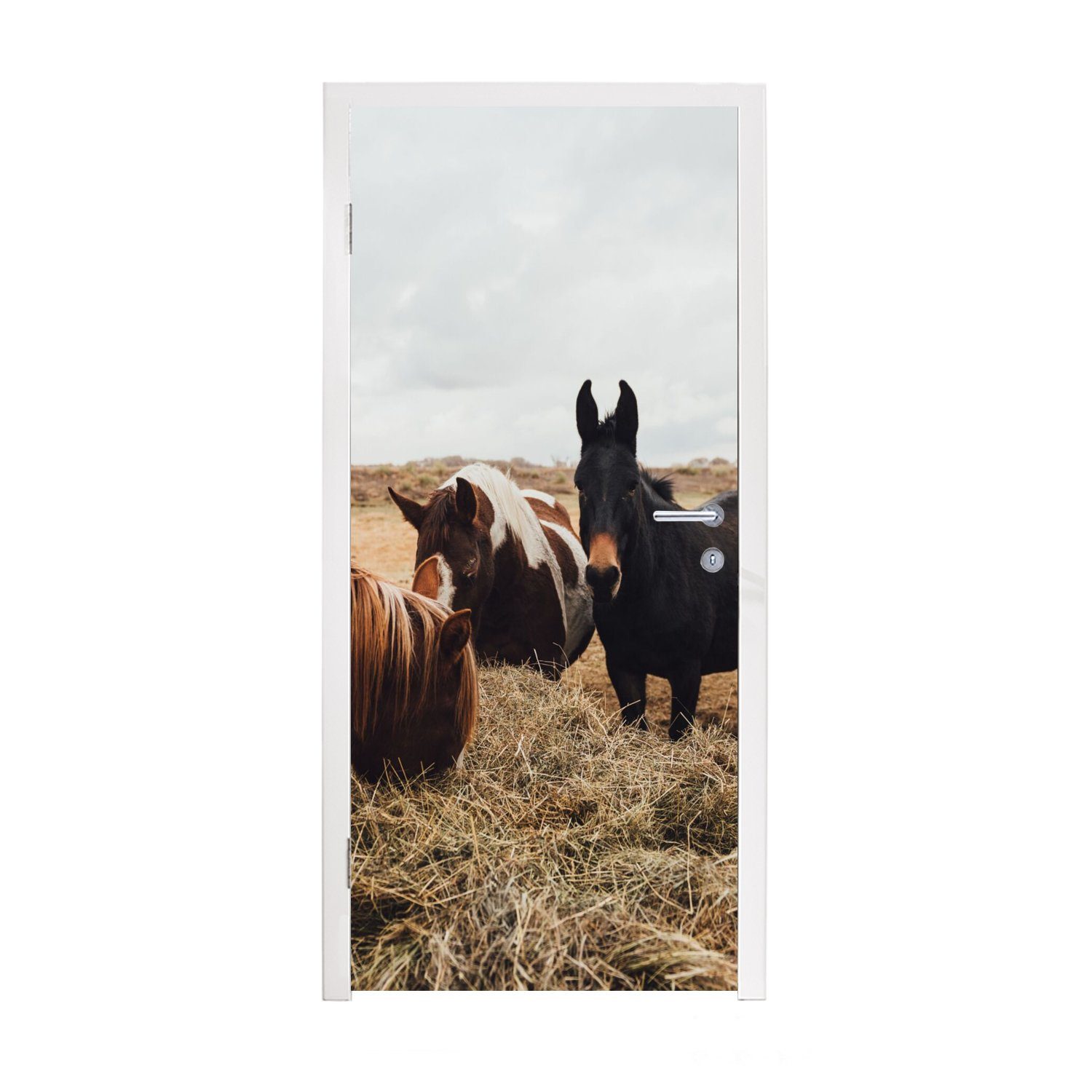 MuchoWow Türtapete Tiere - Pferd, Matt, bedruckt, (1 St), Fototapete für Tür, Türaufkleber, 75x205 cm