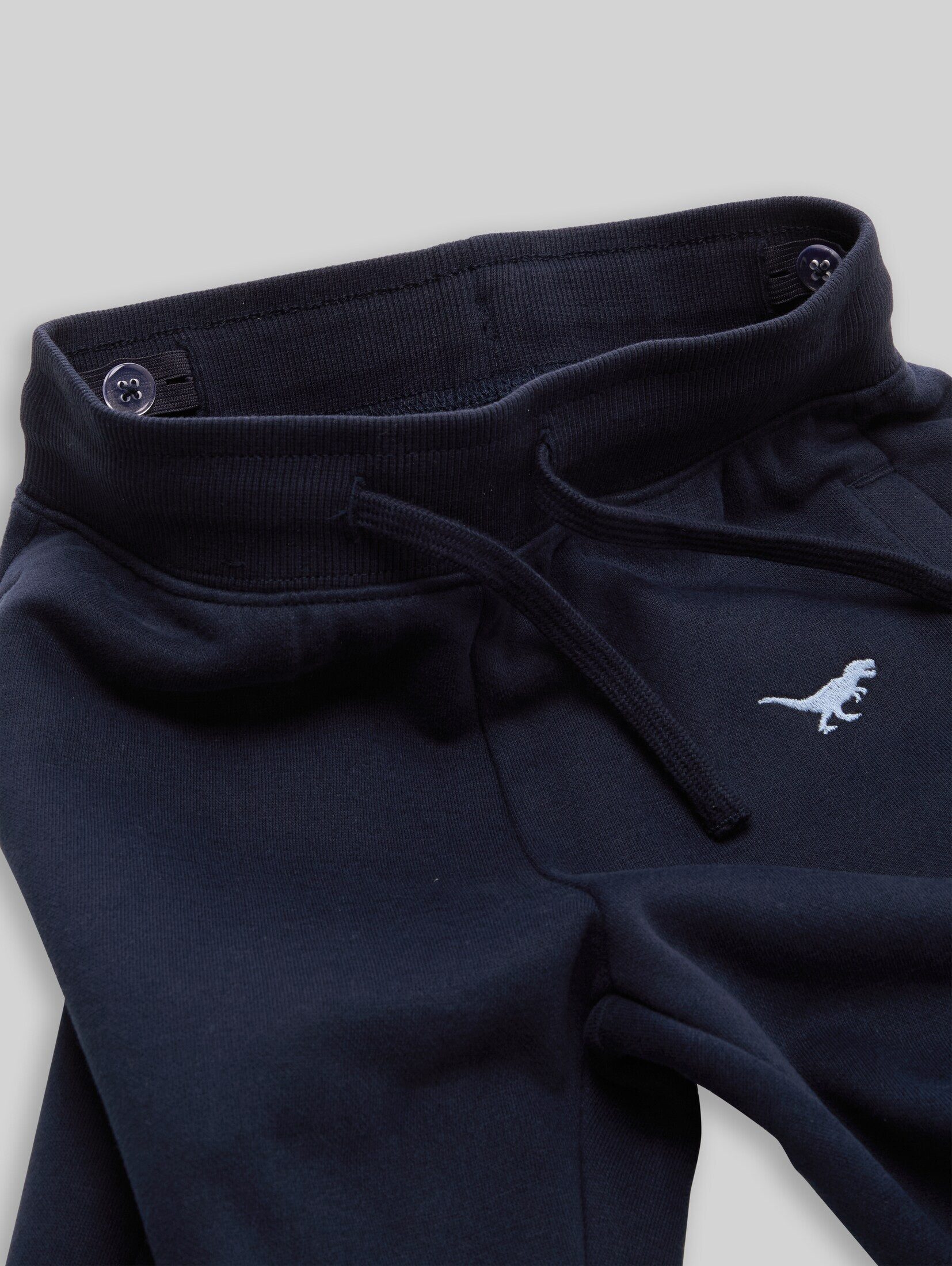 TOM TAILOR Sweathose Hosen & Chino Jogginghose mit Dino-Stickerei