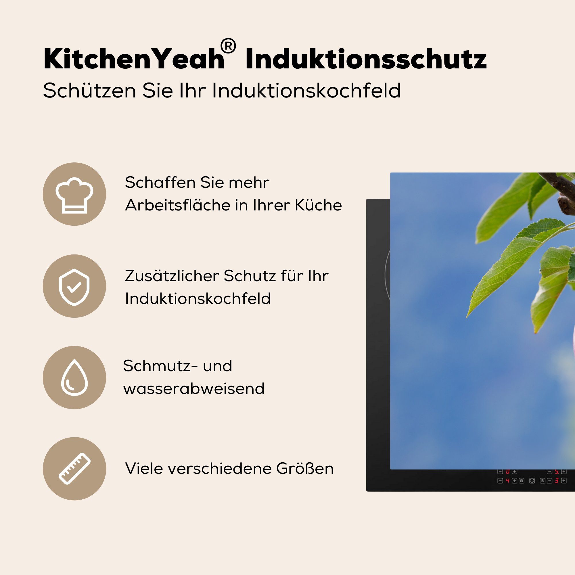 cm, Obst - (1 Apfel Ceranfeldabdeckung Vinyl, für die Herdblende-/Abdeckplatte MuchoWow tlg), Schutz 81x52 Baum, Induktionskochfeld küche, -