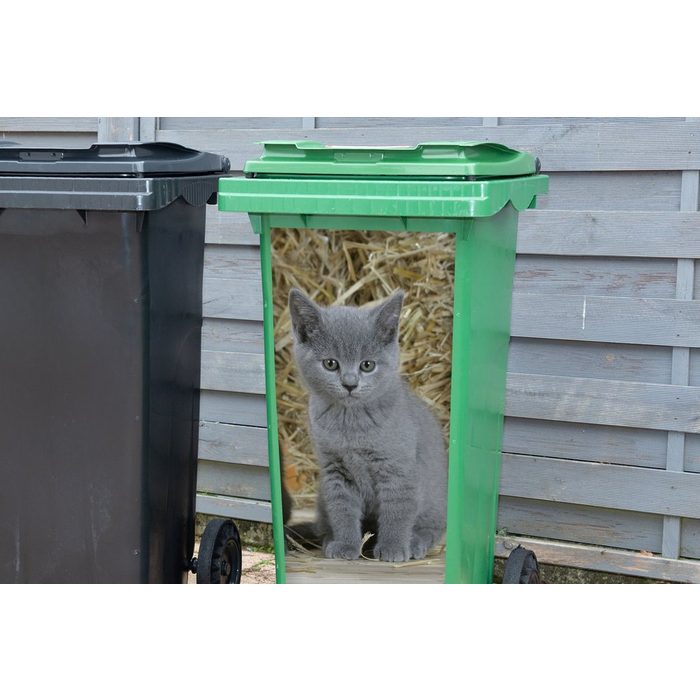 MuchoWow Wandsticker Zwei Britisch-Kurzhaar-Kätzchen mit Heu im Hintergrund (1 St) Mülleimer-aufkleber Mülltonne Sticker Container Abfalbehälter
