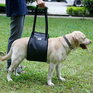 HUNKA Hunde-Sicherheitsgeschirr Hunde-Rehabilitationsgeschirr, Assistenzhundeträger mit Tragegriff, Laufgeschirr für Haustiere, Laufhilfe für Hunde mit Verletzungen
