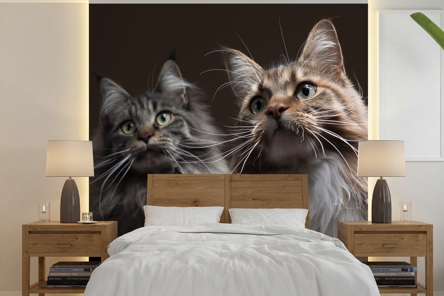 MuchoWow Fototapete Zwei süße Maine Coon Katzen, Matt, bedruckt, (5 St), Vinyl Tapete für Wohnzimmer oder Schlafzimmer, Wandtapete