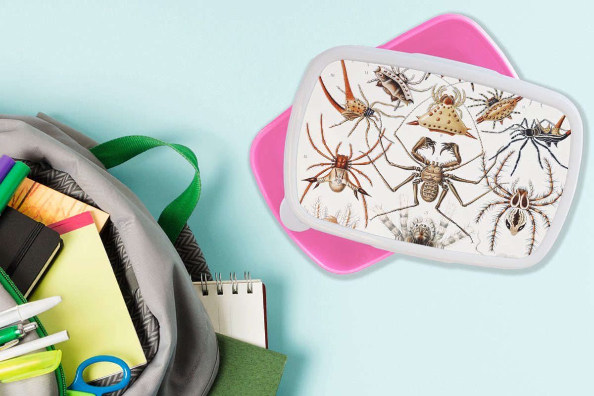 MuchoWow Lunchbox für Ernst Kunststoff - Kunststoff, Retro (2-tlg), Haeckel Mädchen, - rosa Snackbox, - Brotbox Spinnen, Erwachsene, Brotdose Spinne Kinder