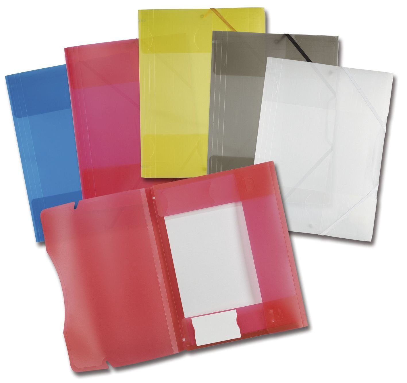 Folia Organisationsmappe Folia 6989 Sammelmappe mit Gummiband, DIN A4,transparent, 5 Farben