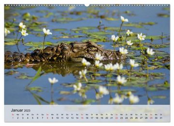 CALVENDO Wandkalender Große Echsen. Krokodile und Alligatoren (Premium, hochwertiger DIN A2 Wandkalender 2023, Kunstdruck in Hochglanz)