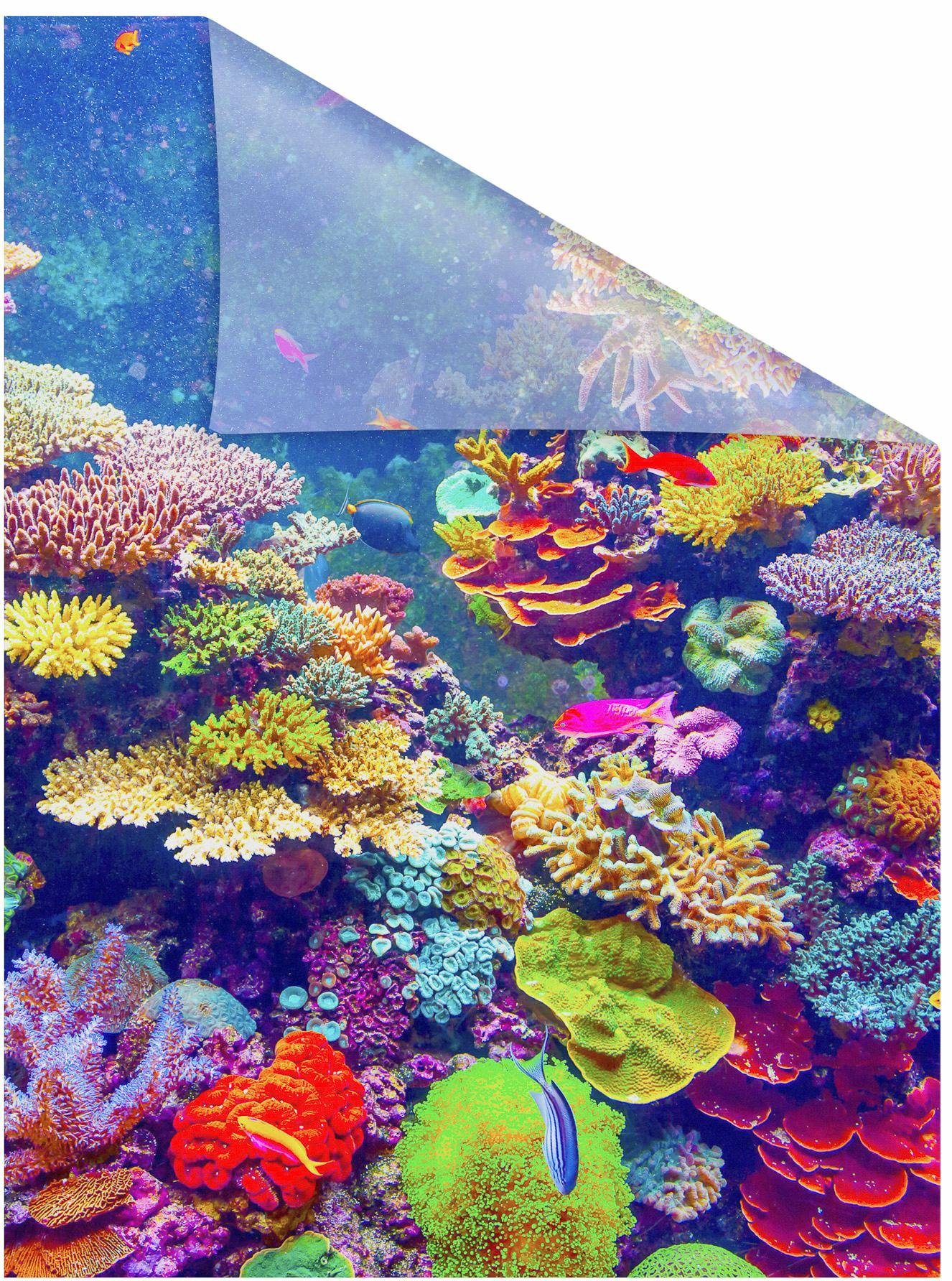Fensterfolie Aquarium, LICHTBLICK Sichtschutz ORIGINAL, strukturiert, blickdicht, selbstklebend