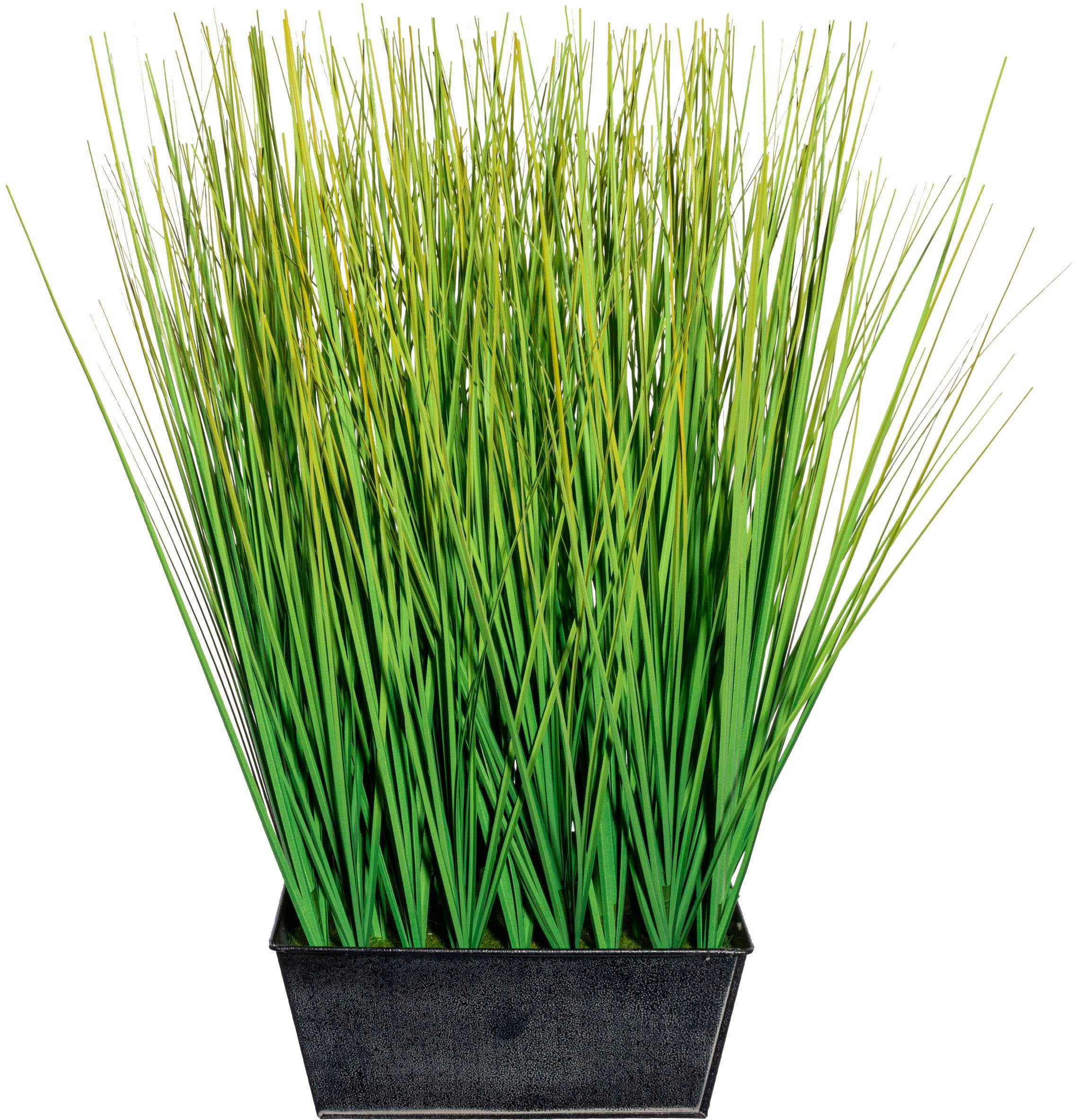 Kunstgras Gras Gras, Creativ green, Höhe günstig online kaufen