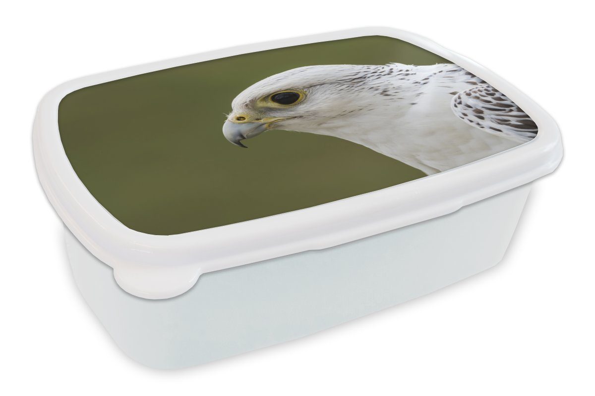 MuchoWow Lunchbox Falke - Hochformat - Weiß, Kunststoff, (2-tlg), Brotbox für Kinder und Erwachsene, Brotdose, für Jungs und Mädchen