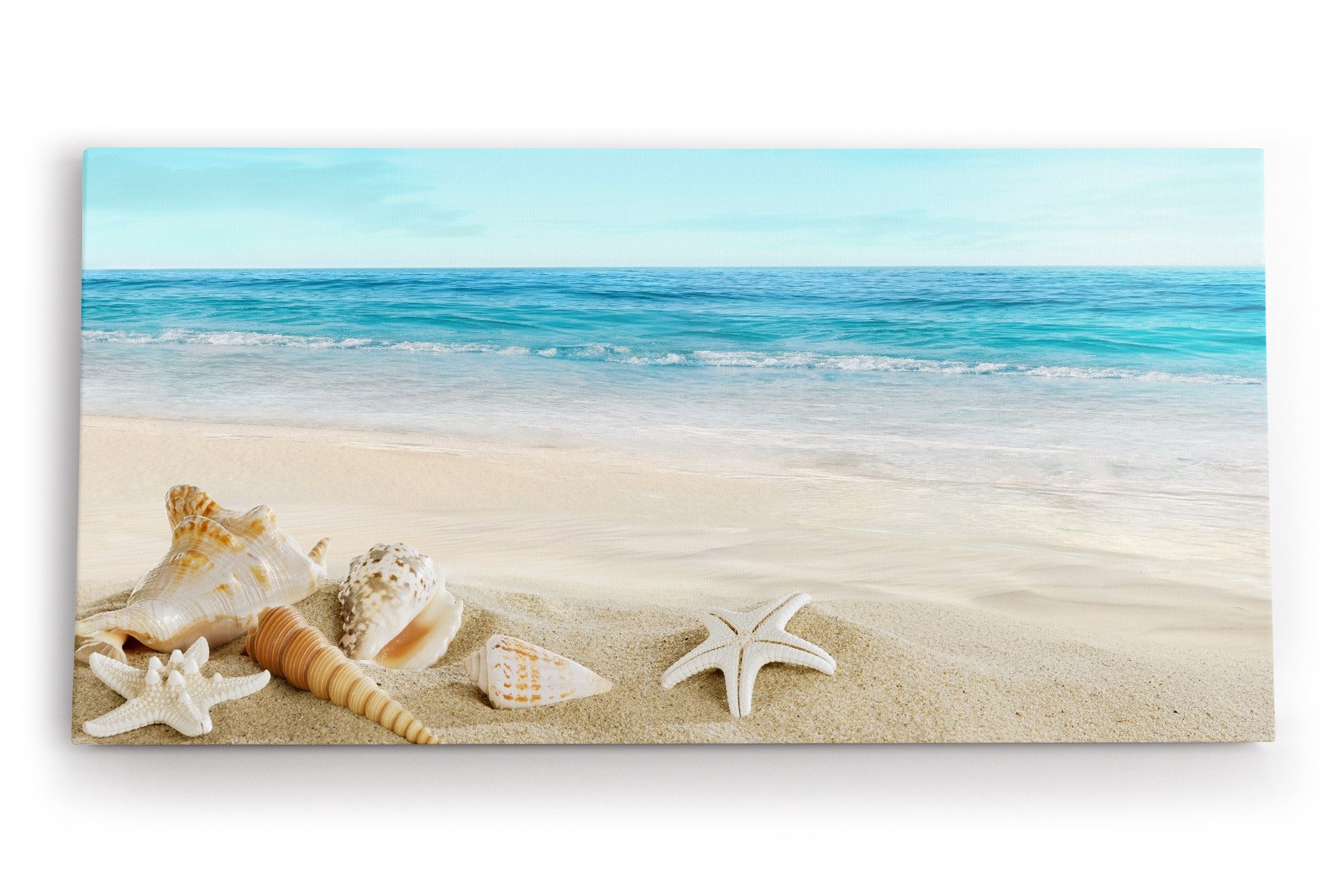 Leinwandbild Meer Sandstrand Strand Seesterne Muscheln Sommer