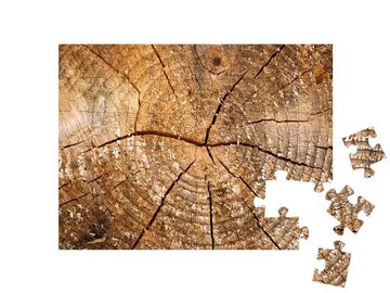 puzzleYOU Puzzle Verwittertes Holz mit Jahresringen, 48 Puzzleteile, puzzleYOU-Kollektionen Bäume, Wald & Bäume