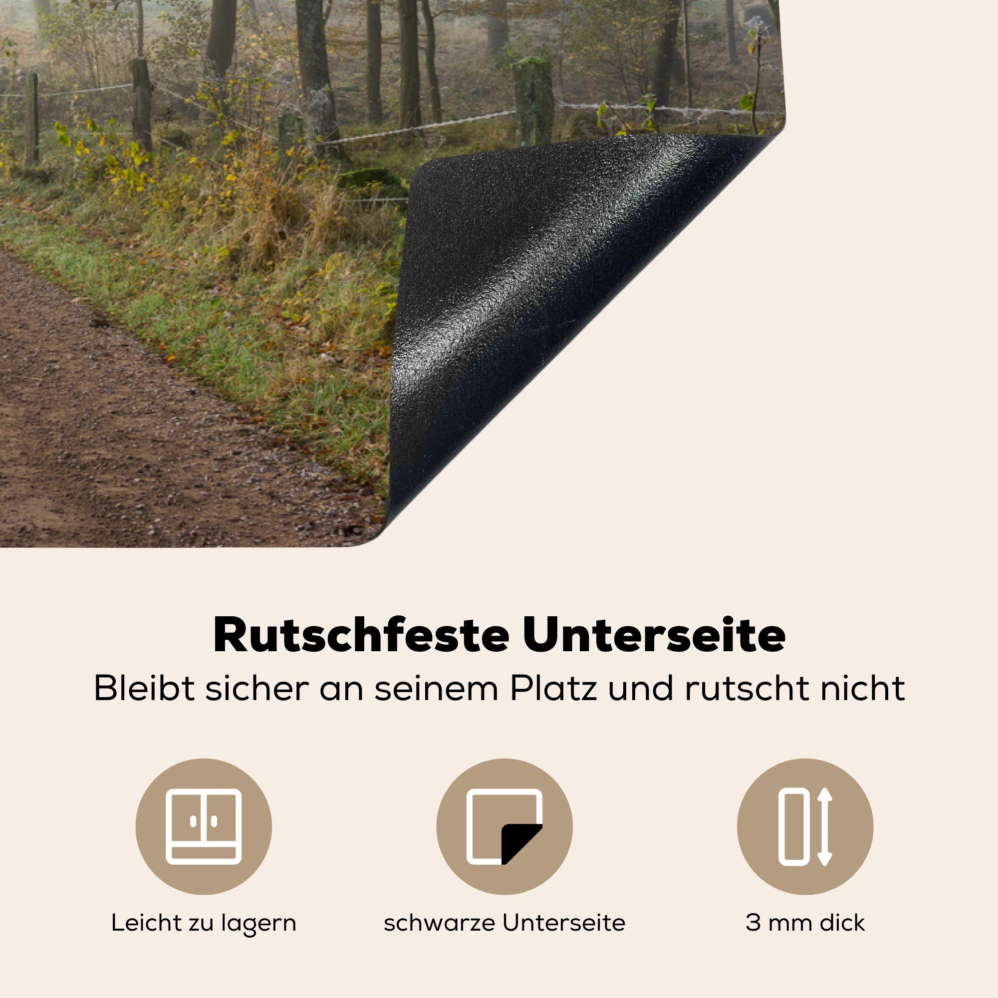 Schweden, des Ceranfeldabdeckung 81x52 Schutz Herdblende-/Abdeckplatte MuchoWow Nationalparks flachen die der Söderåsen in Pfad tlg), Induktionskochfeld Landschaft (1 küche, in cm, für Vinyl,