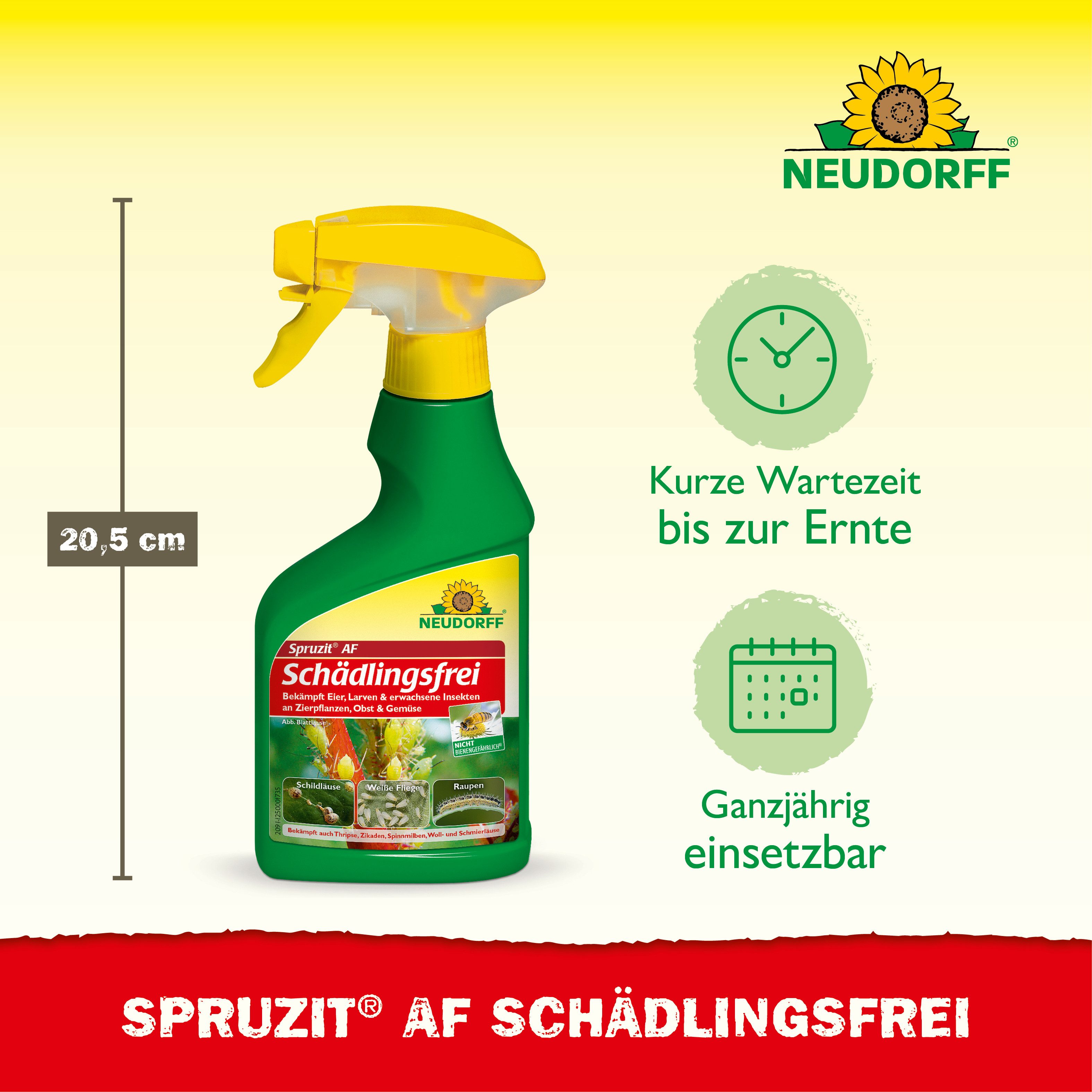 Neudorff Insektenspray Spruzit AF Schädlingsfrei 250 ml, 250 ml, Für Zierpflanzen, Obst & Gemüse in Haus und Garten, Anwendungsfertiges Spray gegen zahlreiche P – Bild 3 von 5