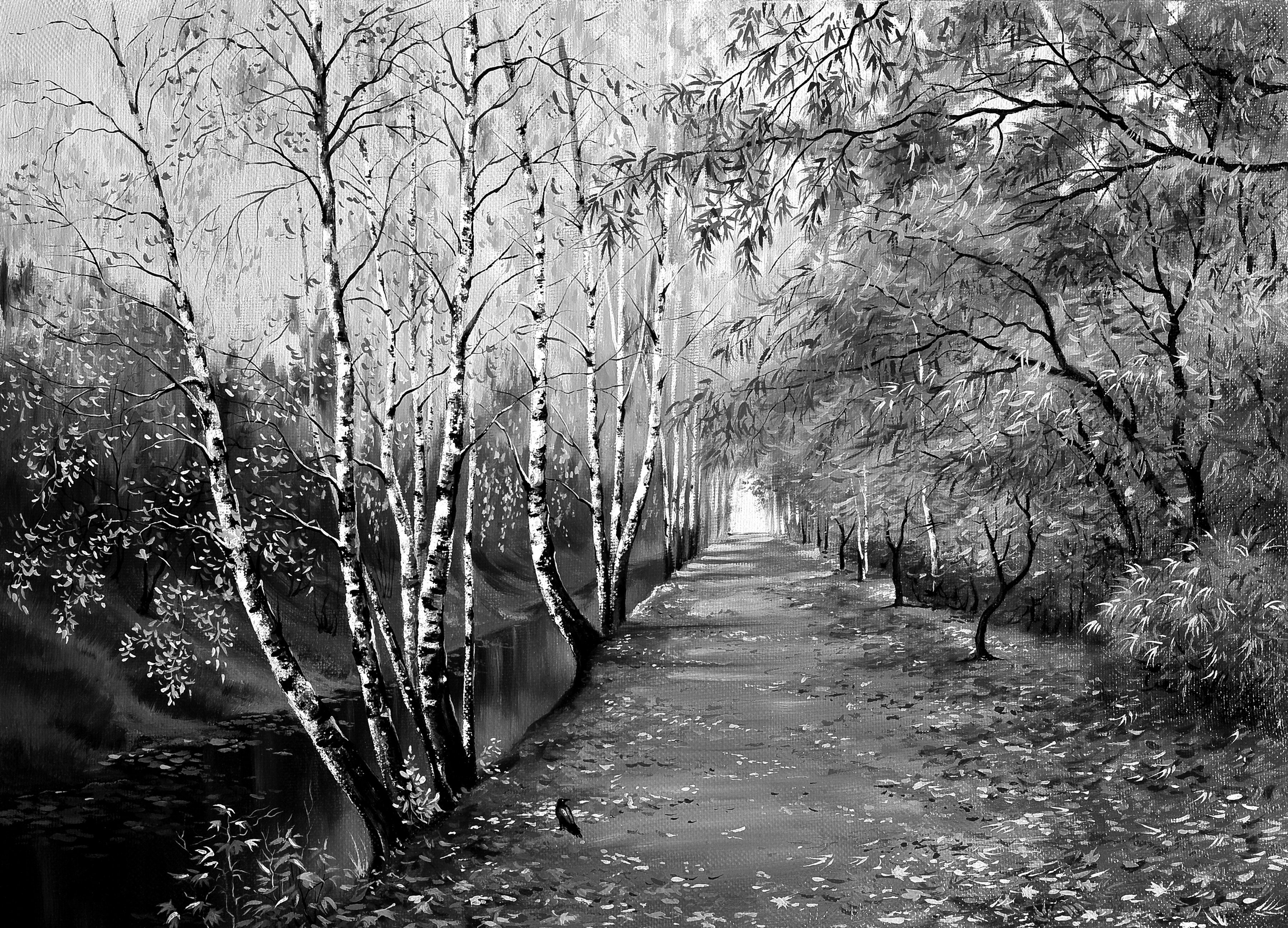 Papermoon Fototapete Waldweg Schwarz & Weiß