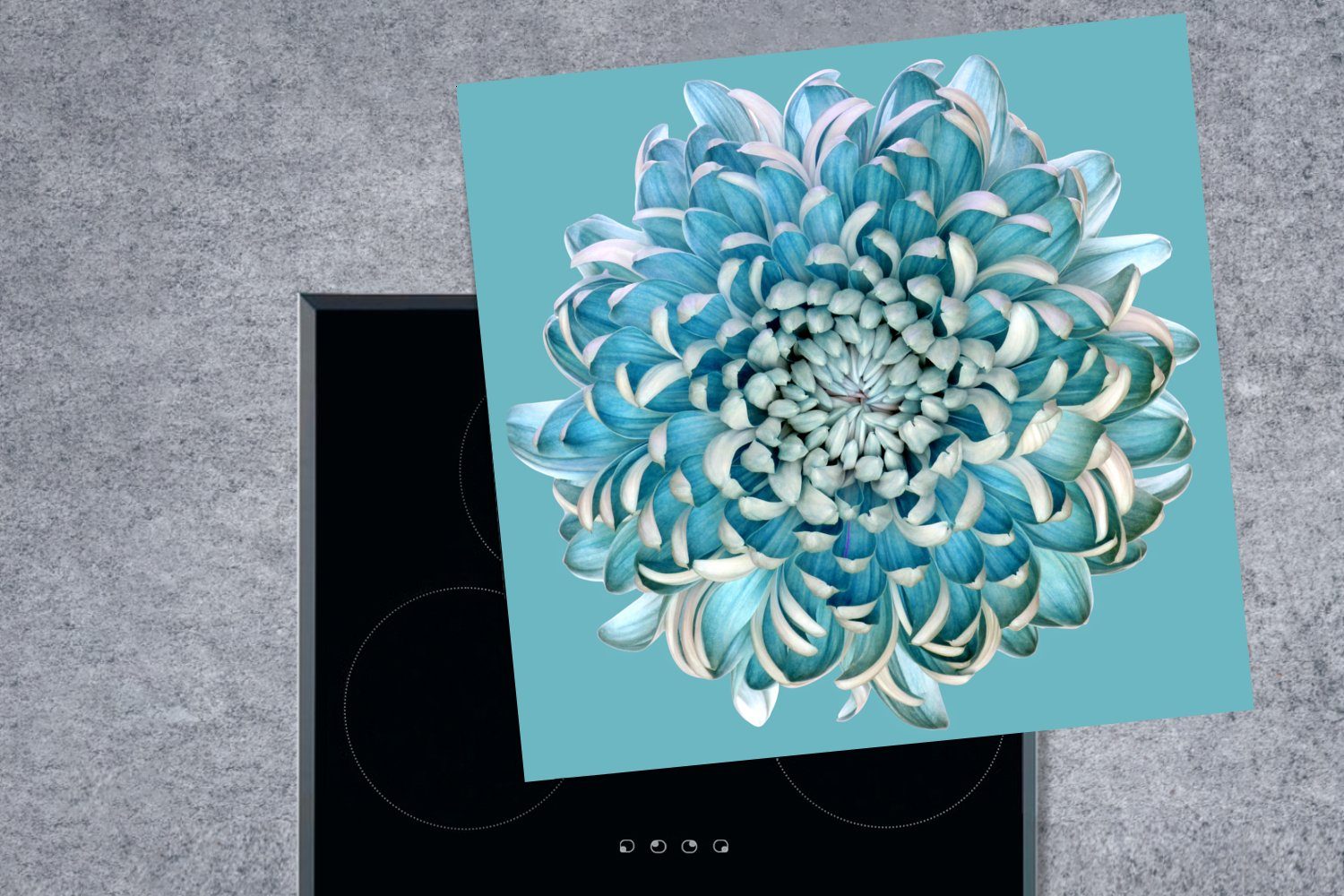Herdblende-/Abdeckplatte Chrysantheme, cm, MuchoWow 78x78 tlg), Blaue (1 Vinyl, Ceranfeldabdeckung, Arbeitsplatte für küche