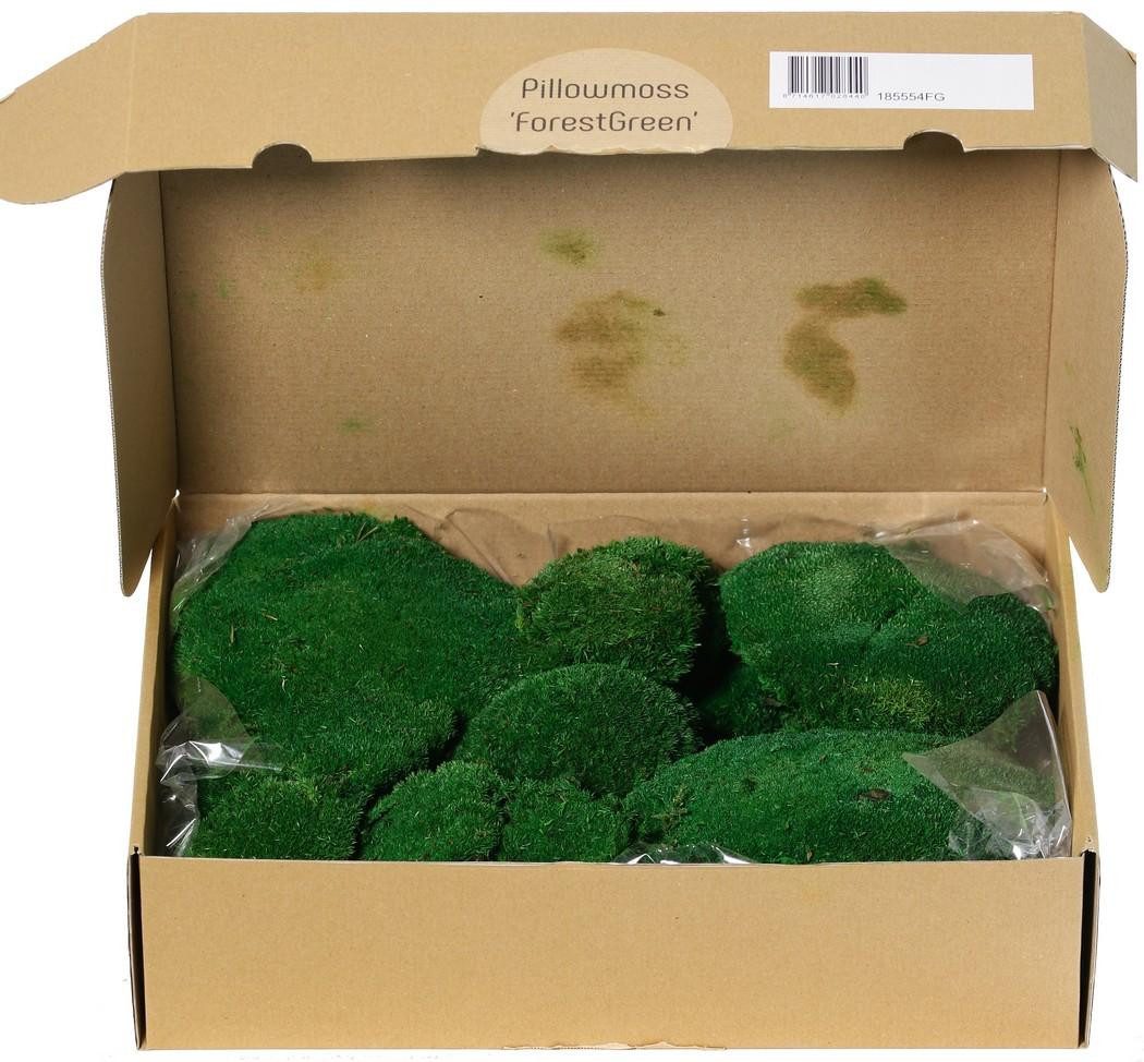 Künstliche Zimmerpflanze Deko Moos SEETHA, grün, 800g, 0,15m2 Moos (Lappenmoos), artplants