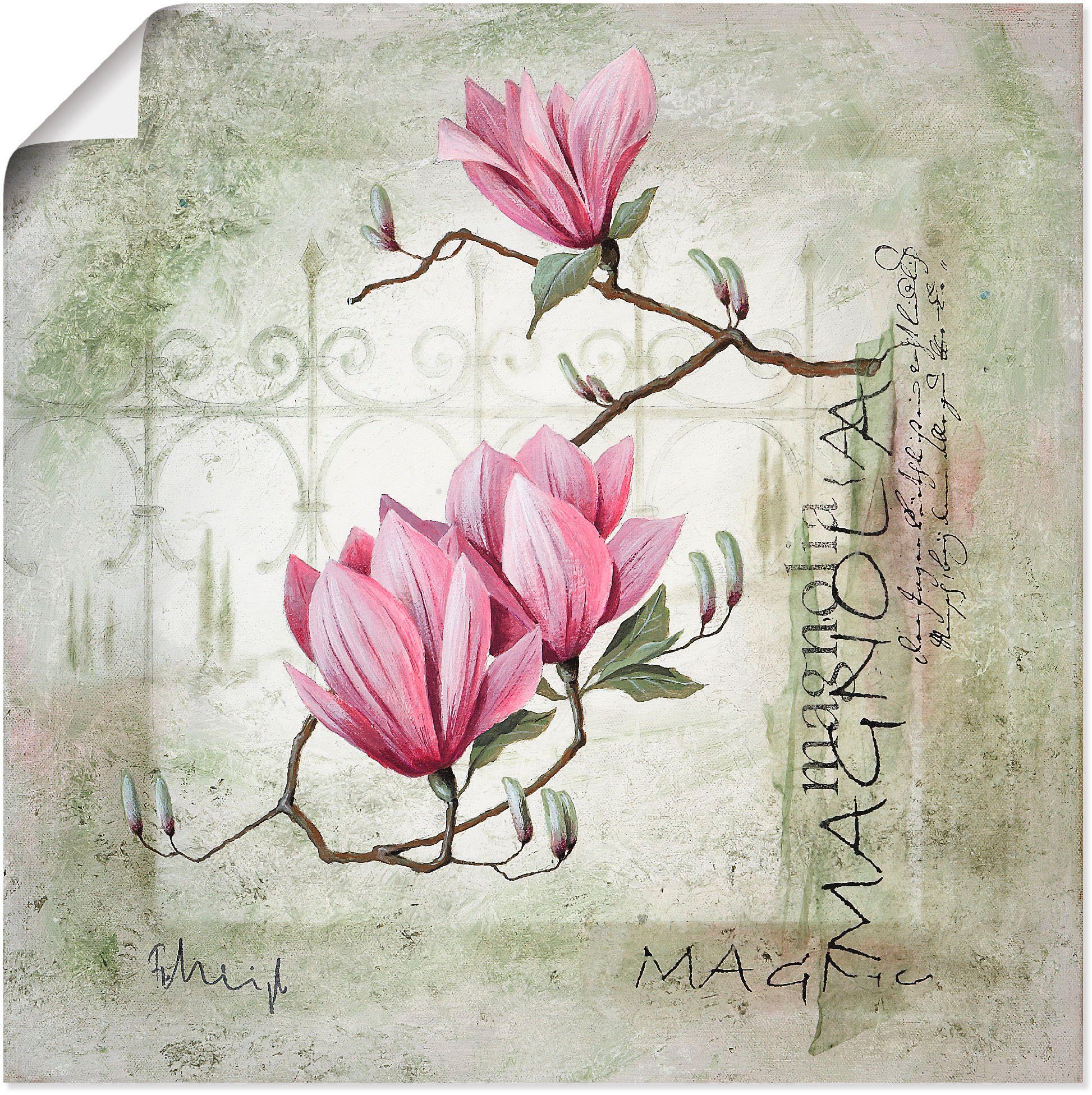 Artland Wandbild Pinke Magnolie, Blumen (1 St), als Leinwandbild, Wandaufkleber oder Poster in versch. Größen