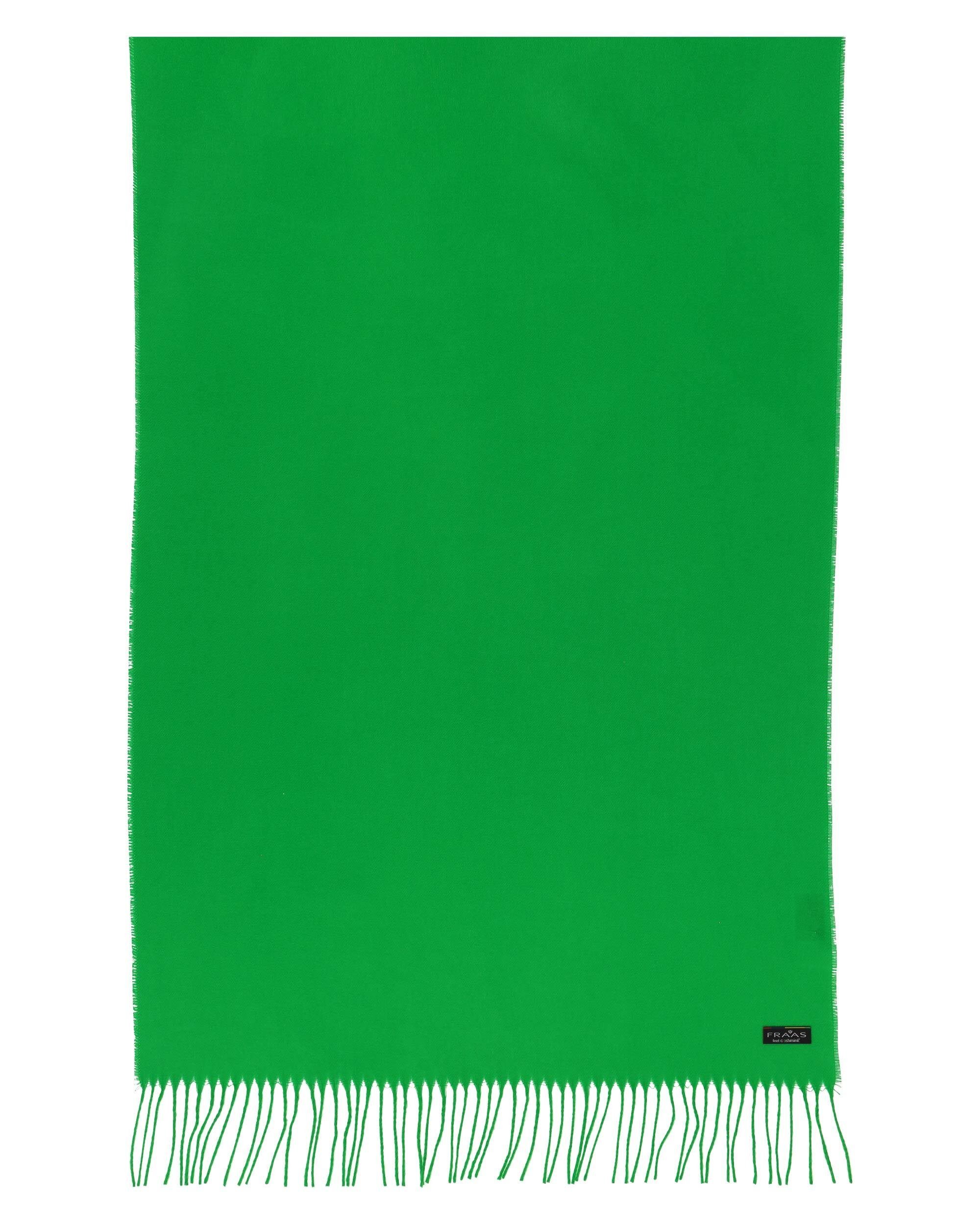 Modeschal Co2 cyber Schal, Cashmink® Fraas green neutral (1-St),