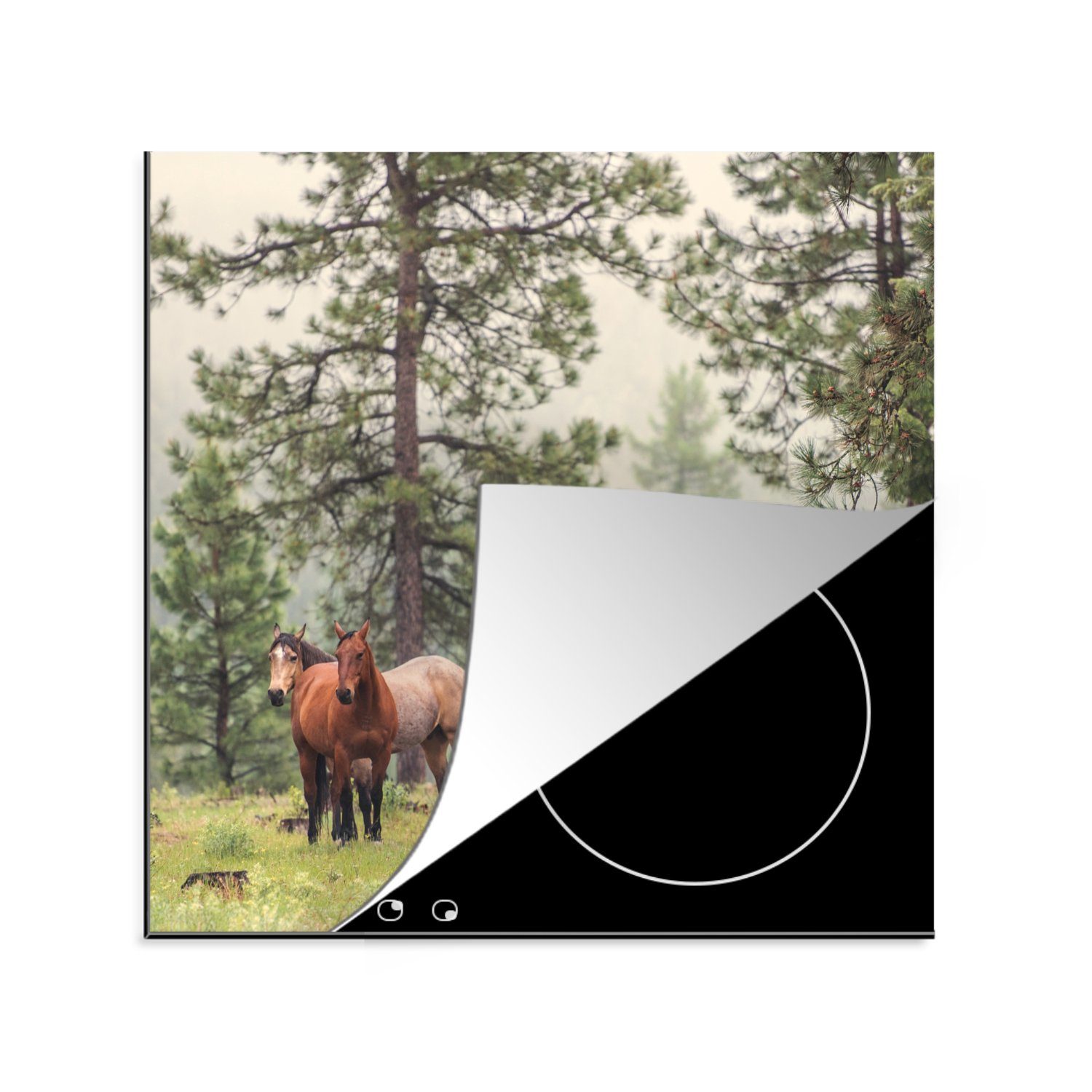 Vinyl, Wald MuchoWow Herdblende-/Abdeckplatte - - (1 Ceranfeldabdeckung, Nebel, für cm, 78x78 küche Pferde Arbeitsplatte tlg),