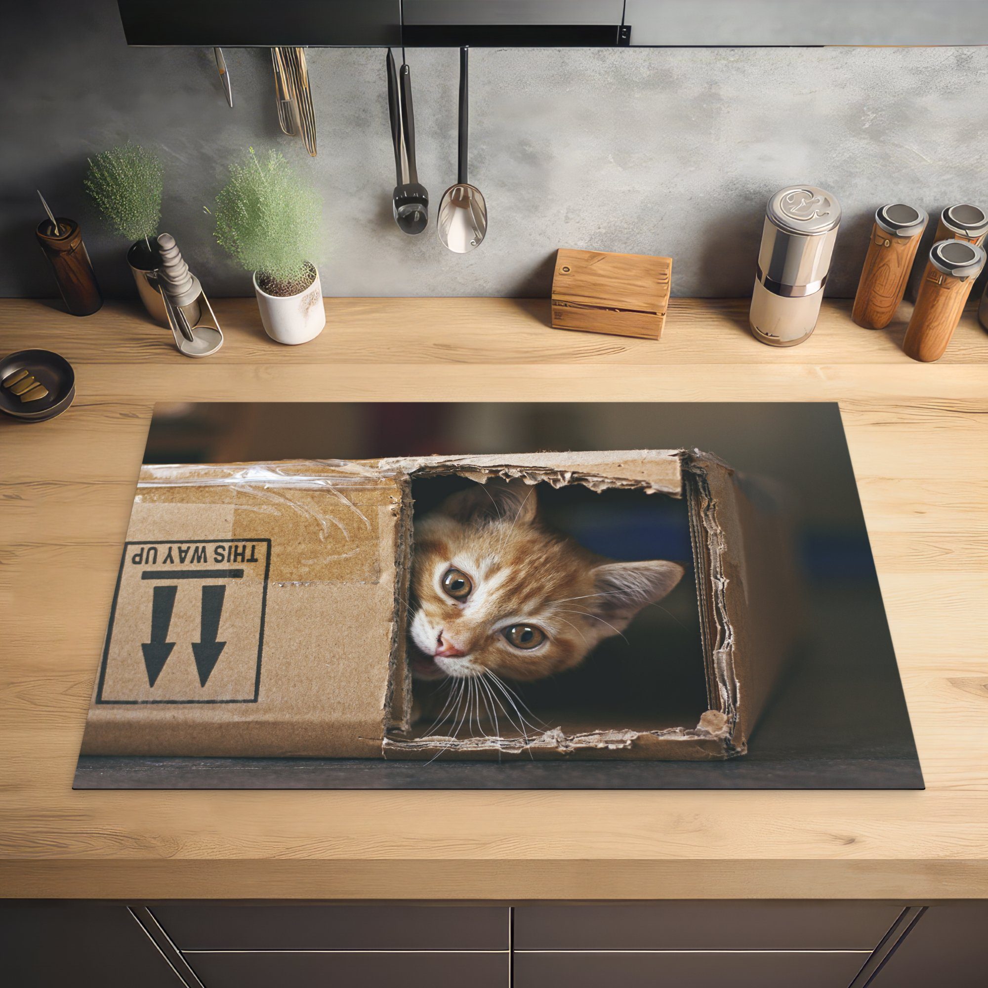 Die Katze sich die Vinyl, für versteckt küche, Induktionskochfeld Herdblende-/Abdeckplatte tlg), gerne., MuchoWow Ceranfeldabdeckung (1 Schutz 81x52 cm,