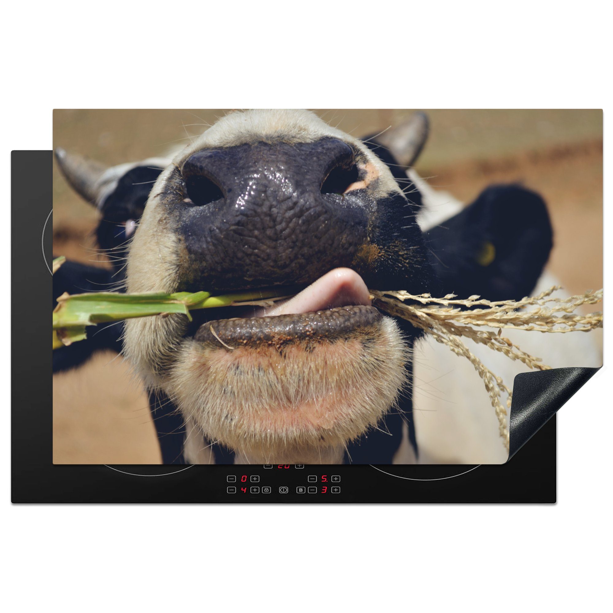 MuchoWow Herdblende-/Abdeckplatte Kühe - Tier - Gras - Makro, Vinyl, (1 tlg), 81x52 cm, Induktionskochfeld Schutz für die küche, Ceranfeldabdeckung