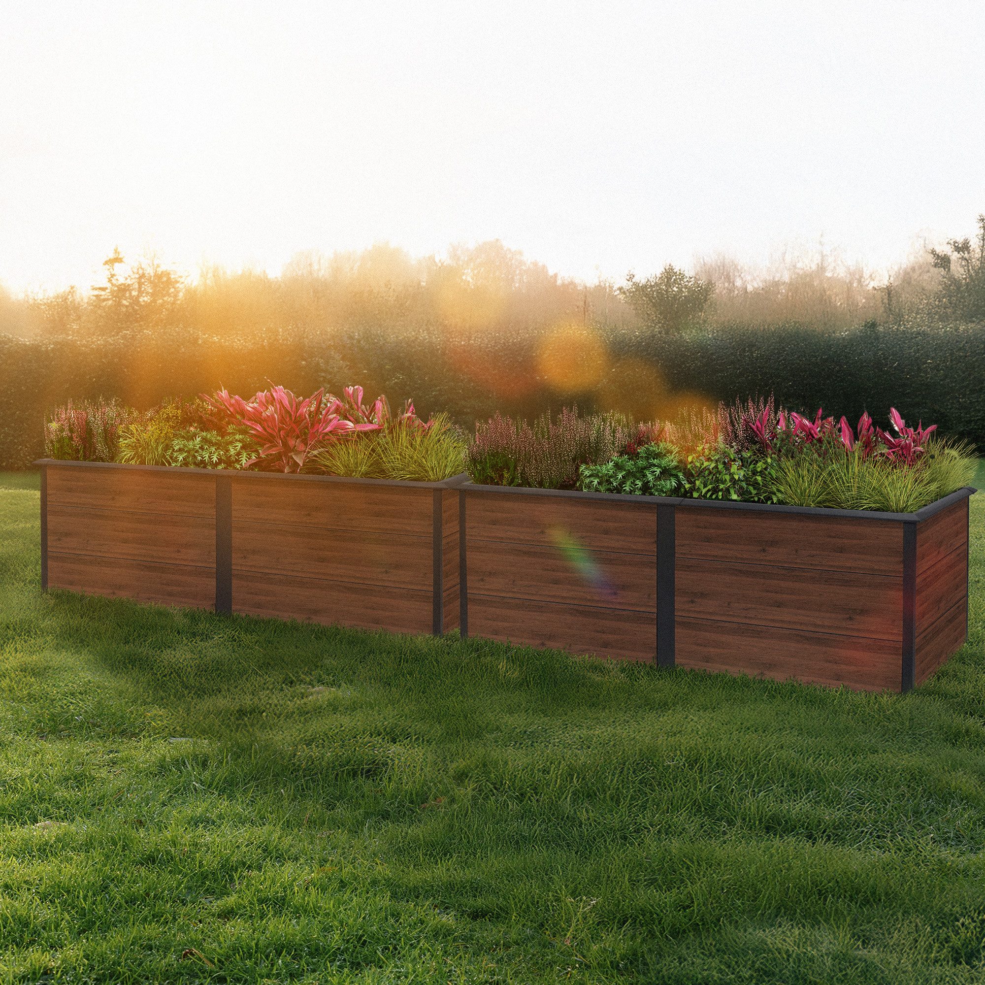 Zelsius Hochbeet Hochbeet für Garten, Anthrazit RAL 7016, 200 x 100 x 77 cm, Walnuss, Inkl. Schneckenschutz