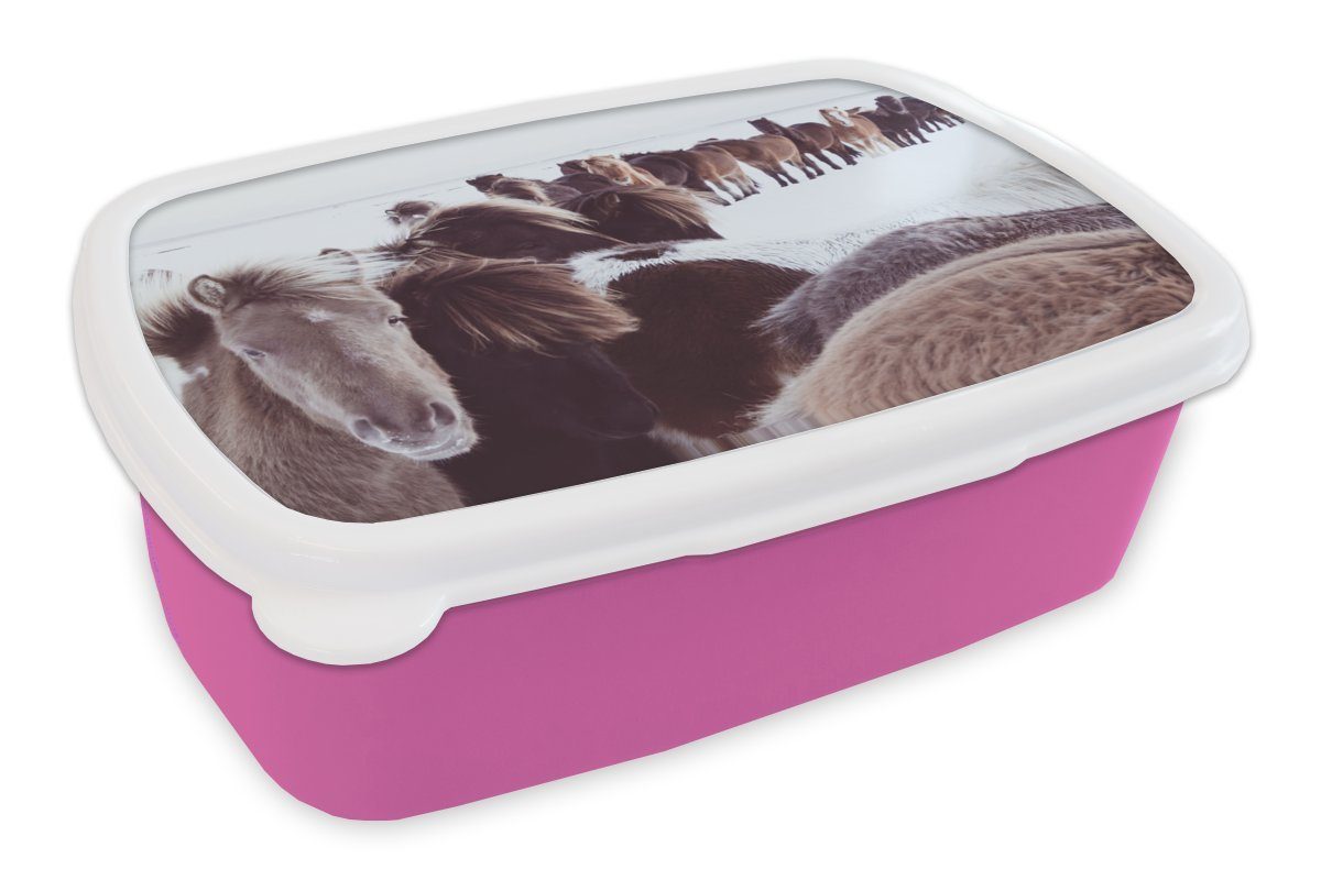 MuchoWow Lunchbox Pferde - Schnee - Weiß, Kunststoff, (2-tlg), Brotbox für Erwachsene, Brotdose Kinder, Snackbox, Mädchen, Kunststoff rosa