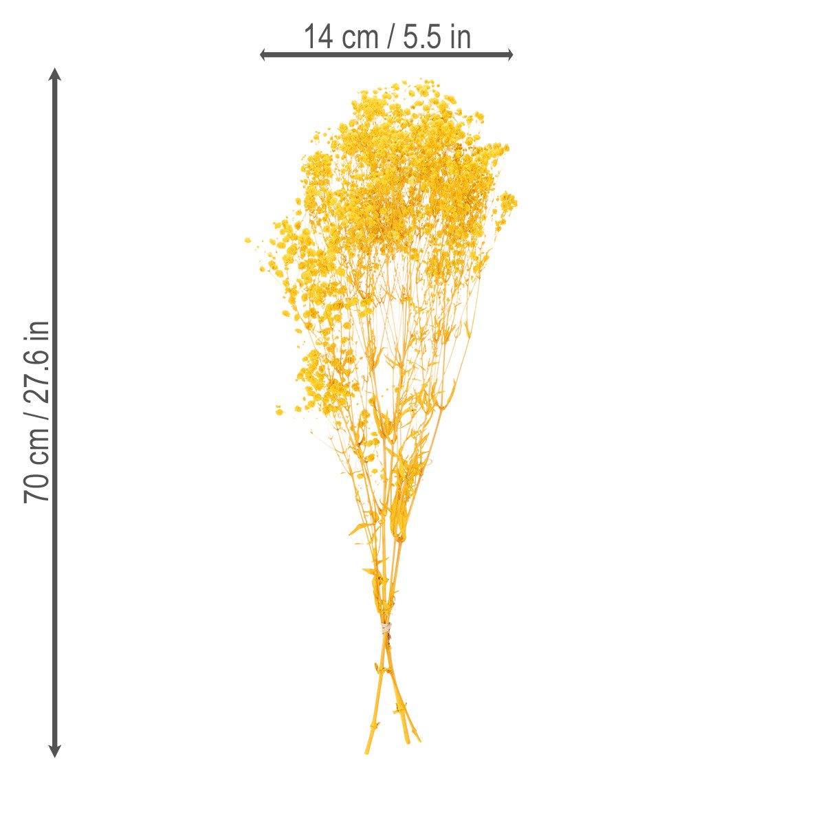 Trockenblume Eleganter Trockenblumenstrauß Schleierkraut für stilvolle, Florists Products, Höhe 70 cm