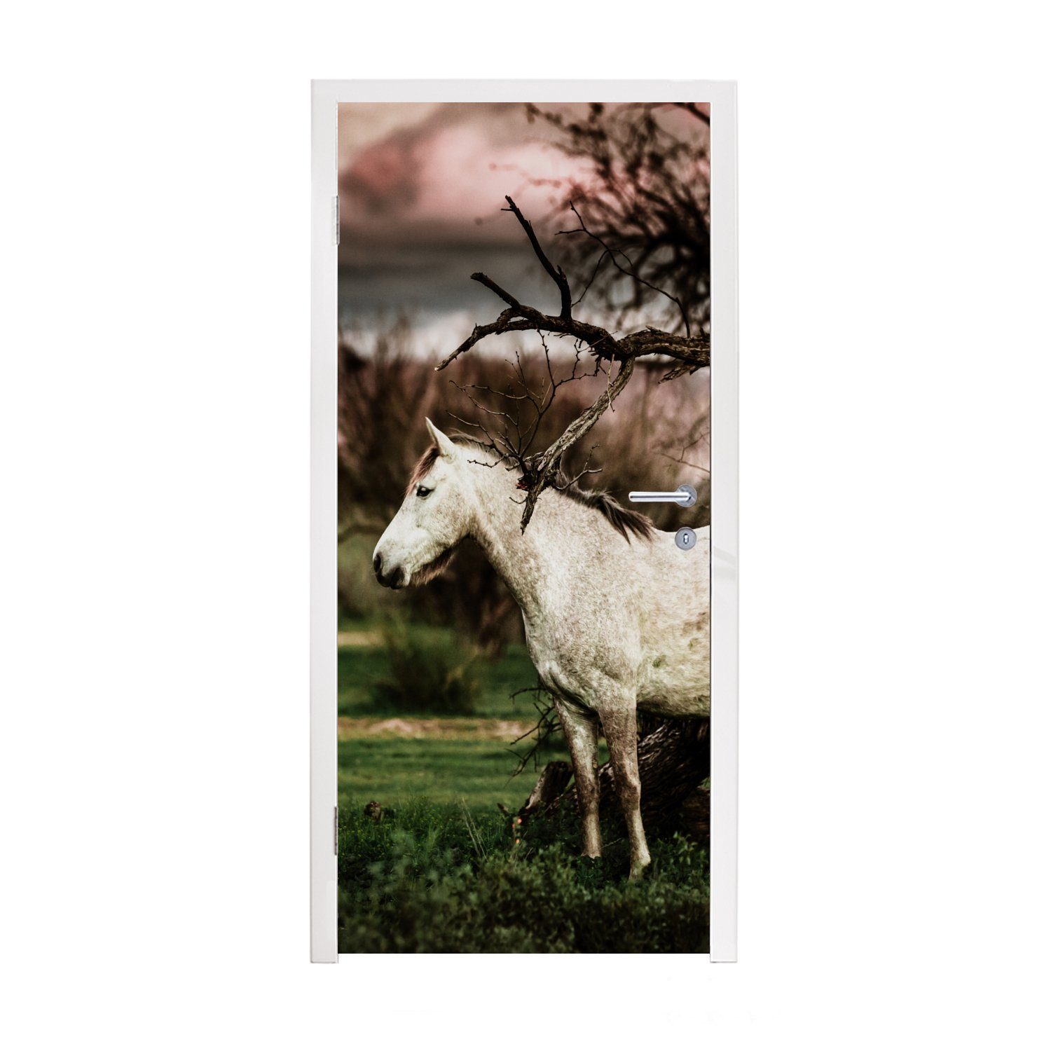 Morgan-Pferd 75x205 Fototapete Baum, einem Türtapete MuchoWow Weißes für Tür, (1 neben cm St), Matt, Türaufkleber, bedruckt,