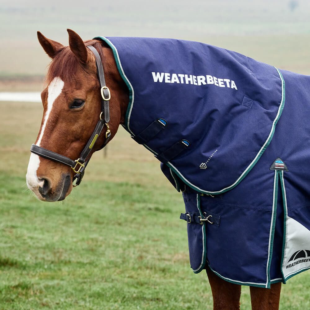 WeatherBeeta Pferde-Thermodecke Weatherbeeta Comfitec Plus Dynamic Turnout Neck Cover 100g