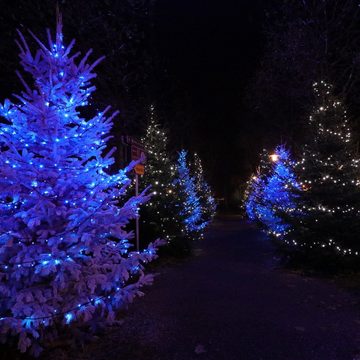 MARELIDA Christbaumständer Weihnachtsbaumständer Erdspieß Stammdurchmesser 3-9cm H:bis 2,5m Außen