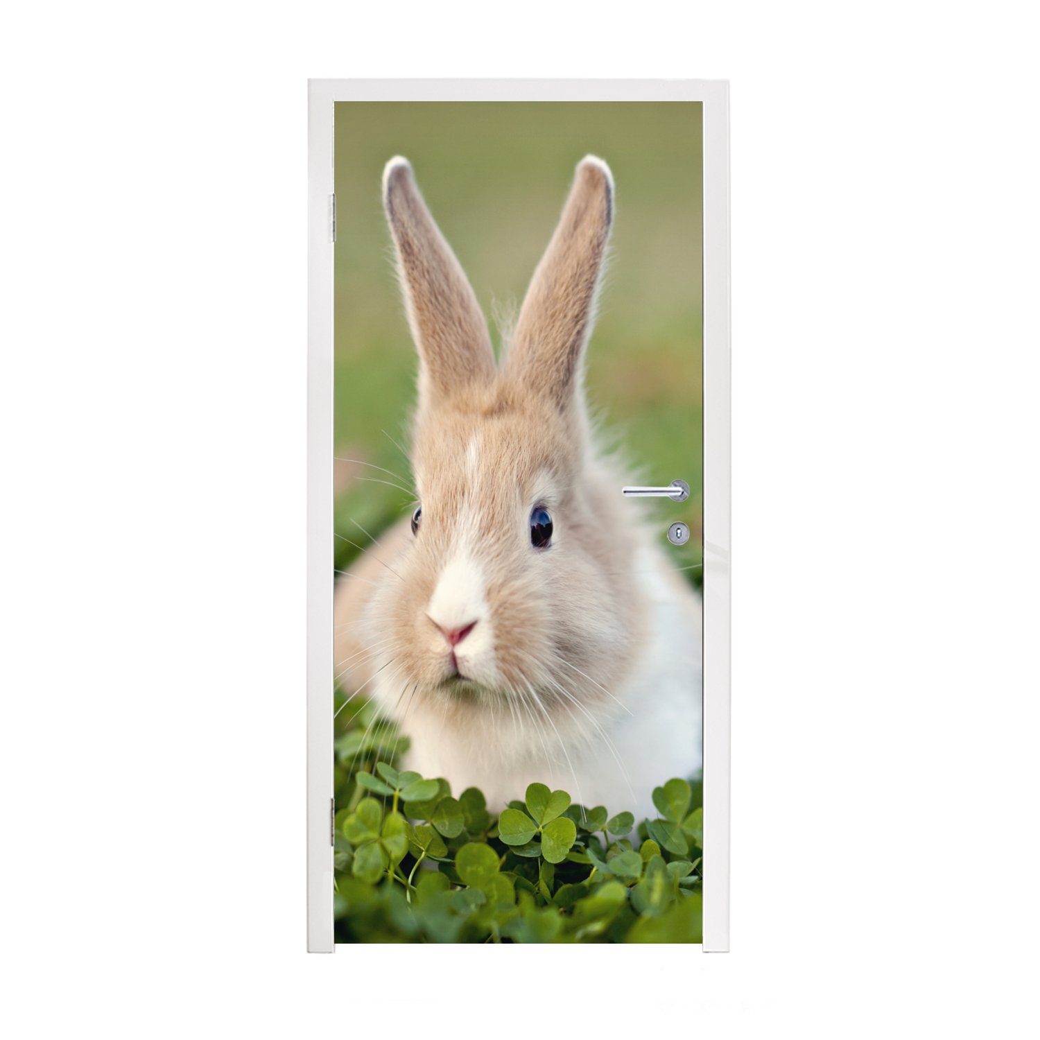 MuchoWow Türtapete Kaninchen - Tier - Klee, Matt, bedruckt, (1 St), Fototapete für Tür, Türaufkleber, 75x205 cm