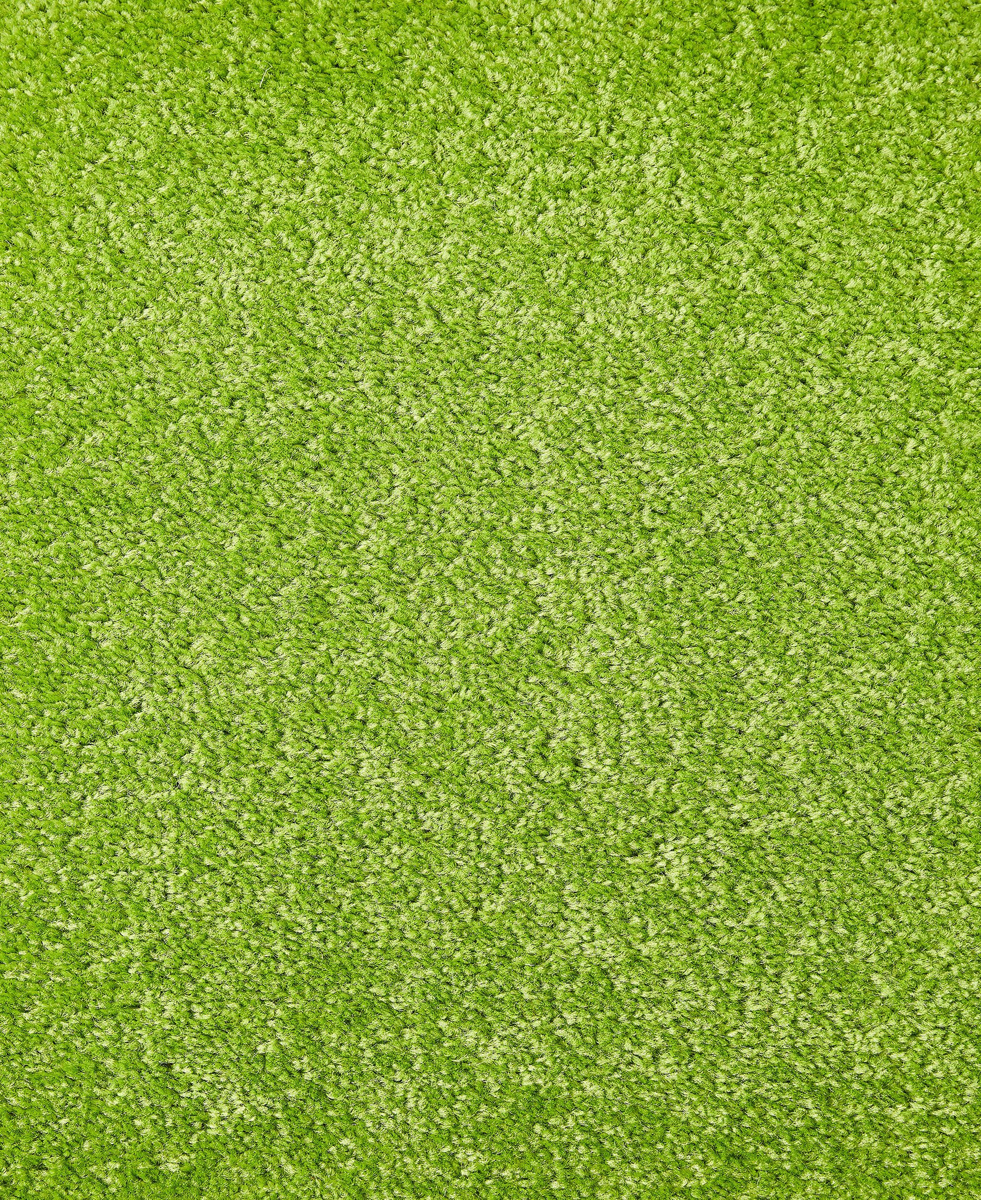 Steffensmeier Sydney Teppichboden Meterware - 100% Schurwolle Schlingenauslegware Weiß 200x500cm