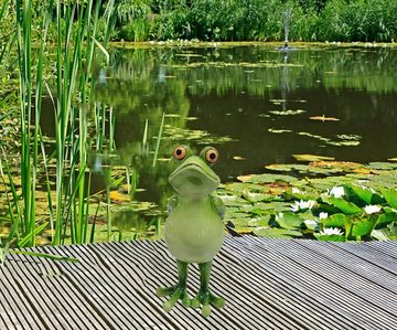 Fachhandel Plus Dekofigur Frosch Konrad lustige Gartendeko Indoor Outdoor