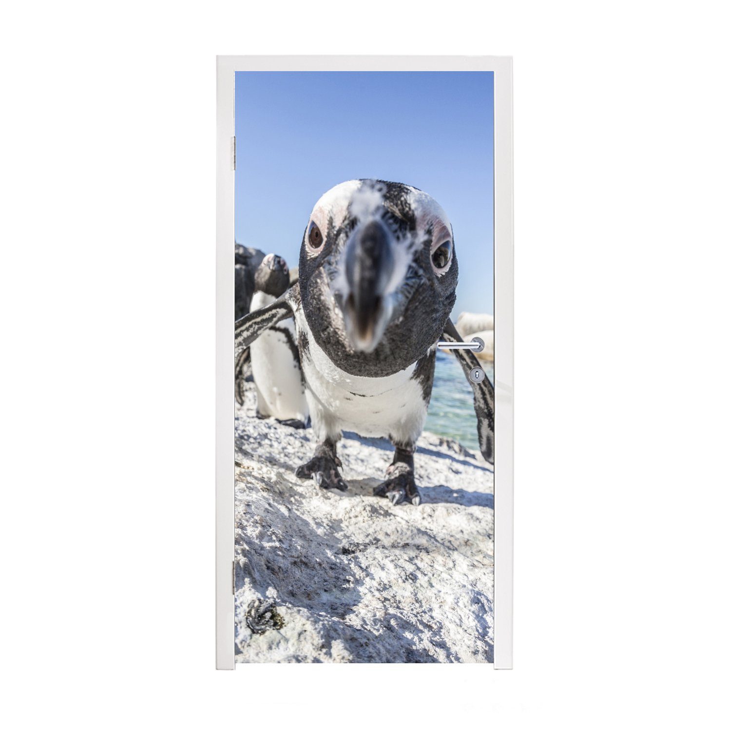 MuchoWow Türtapete Matt, (1 Beach, 75x205 Boulders Türaufkleber, am bedruckt, für Pinguins St), Nahaufnahme Tür, cm eines Fototapete