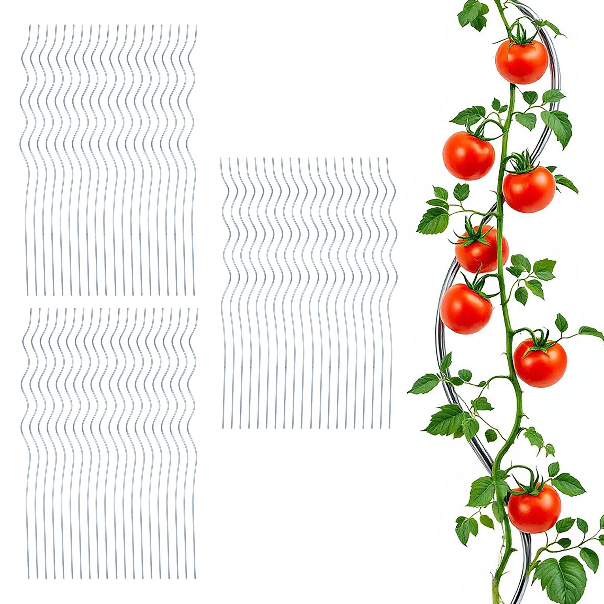 Spetebo Rankhilfe Tomaten Sprialstab verzinkt 110cm Anzahl, 60 St., Stück, rostfrei und witterungsbeständig