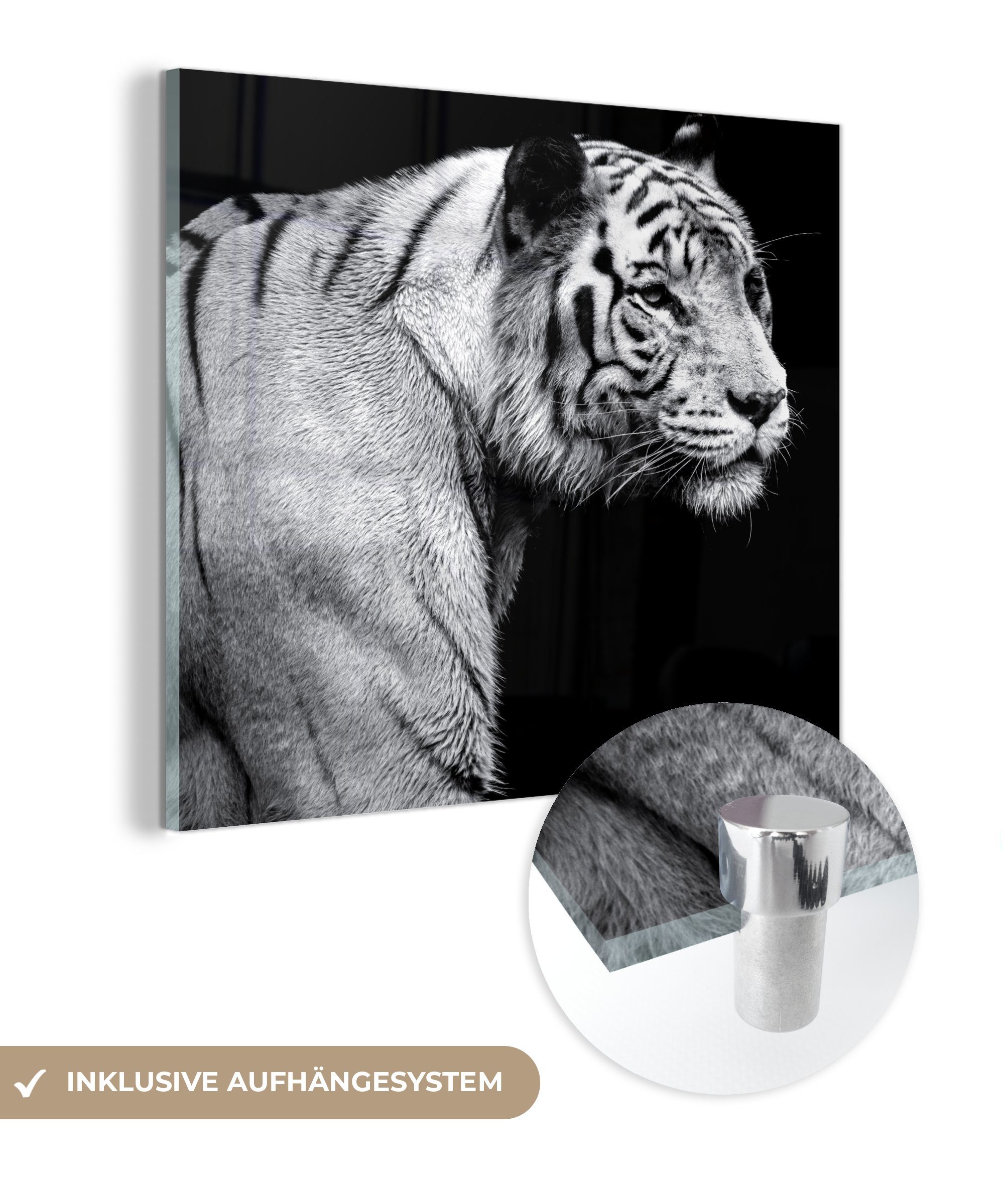 MuchoWow Acrylglasbild Tiger - Wilde Tiere - Licht, (1 St), Dekorative Bild für Küche & Wohnzimmer auf Glas | Bilder