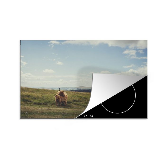 MuchoWow Herdblende-/Abdeckplatte Schottische Highlander - Gras - Wolken - Tiere Vinyl (1 tlg) induktionskochfeld Schutz für die küche Ceranfeldabdeckung