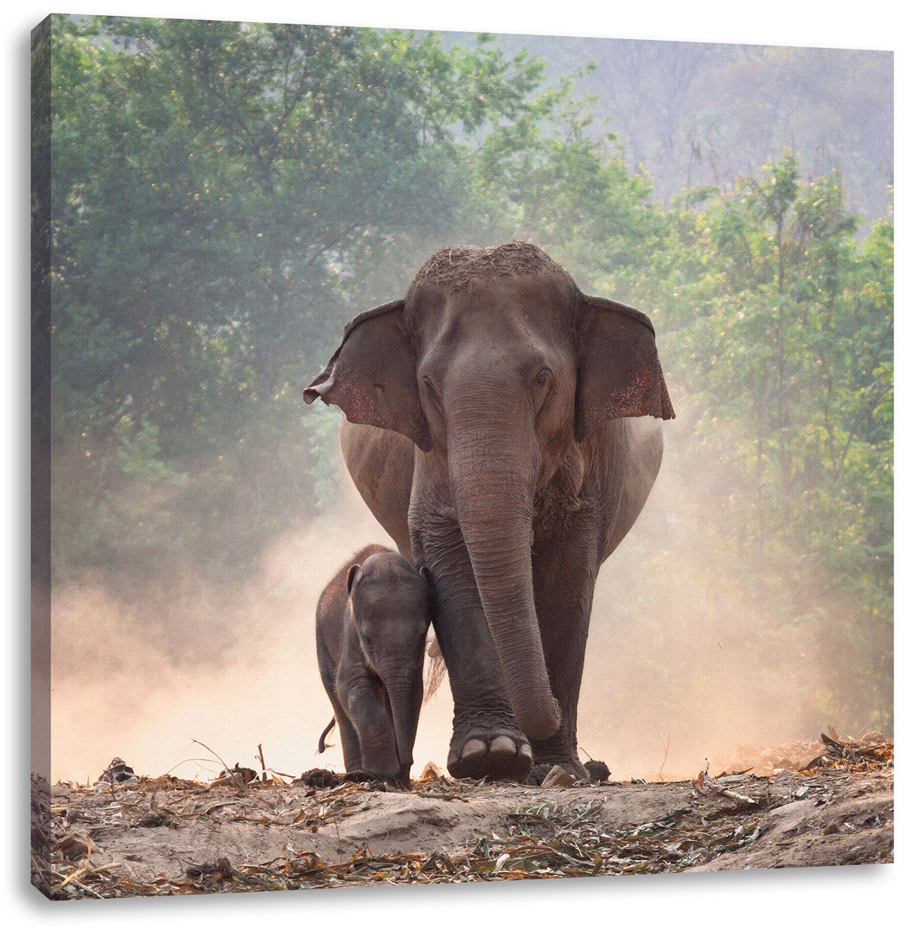 mit bespannt, Elefantenbaby Mutter, mit St), Mutter inkl. Elefantenbaby Leinwandbild (1 Leinwandbild fertig Pixxprint Zackenaufhänger