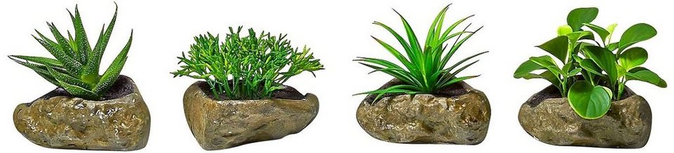 Kunstpflanze Sukkulenten, Home affaire, Höhe 12 cm, 4er Set