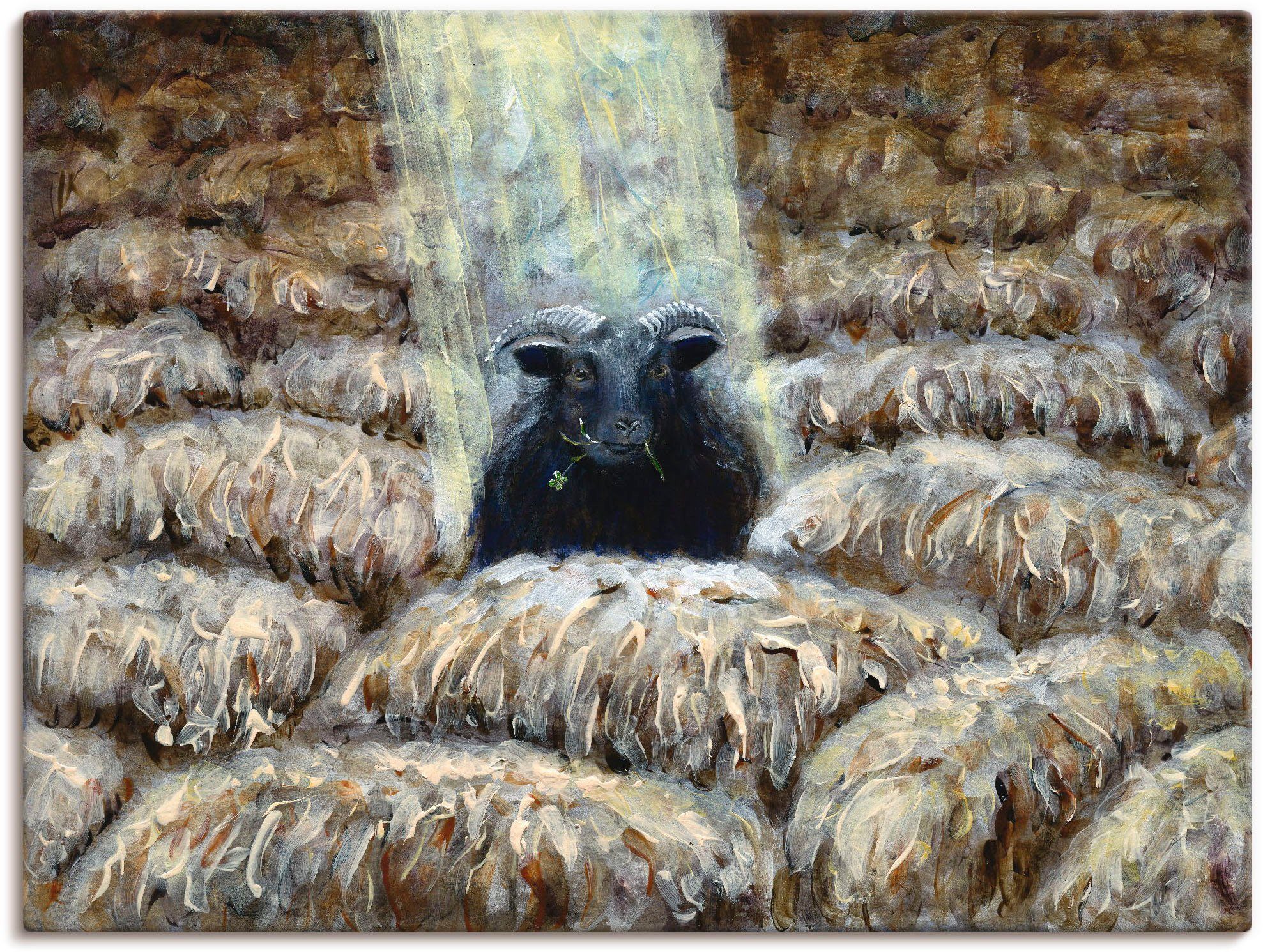 Artland Wandbild Schwarzes St), oder Größen als Wandaufkleber Schaf, Leinwandbild, Haustiere versch. (1 in Poster