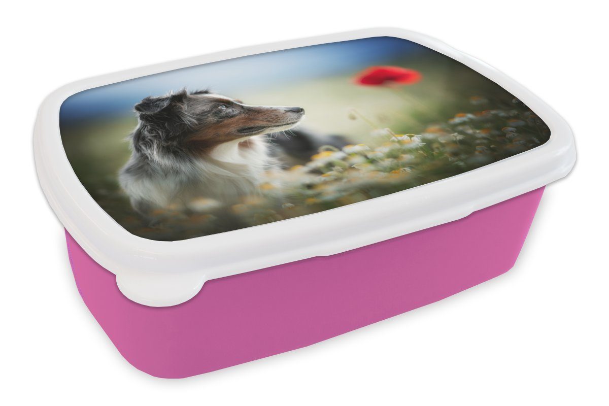 MuchoWow Lunchbox Hund - Blumen - Farben, Kunststoff, (2-tlg), Brotbox für Erwachsene, Brotdose Kinder, Snackbox, Mädchen, Kunststoff rosa