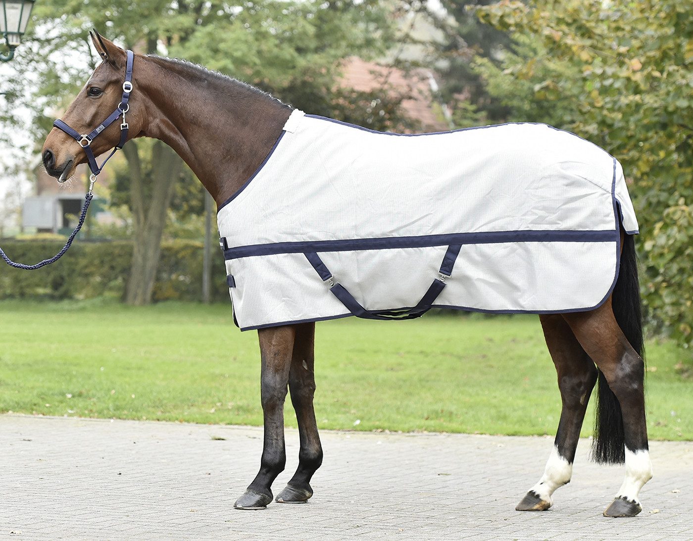 BUSSE Pferde-Abschwitzdecke Busse Abschwitzdecke STRONG