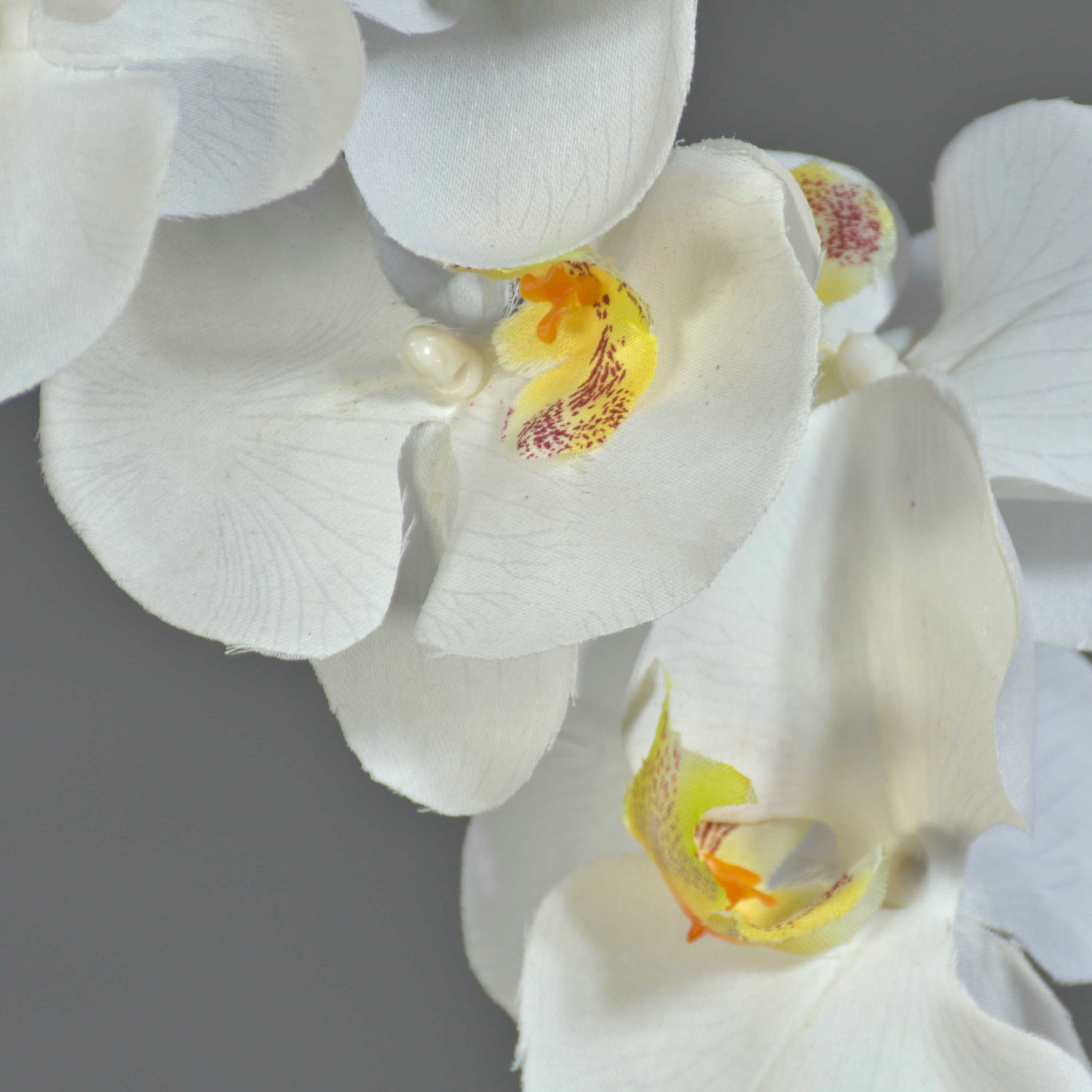 Kunstorchidee Dekozweig Phalaenopsis Orchidee LANUA, Creme, 75 cm Orchidee (Orchidee phalaenopsis), artplants, Höhe 70.0 cm