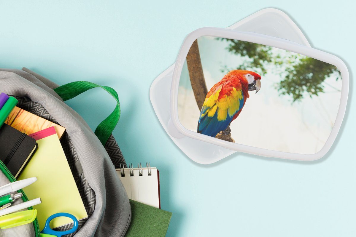 MuchoWow Lunchbox für Tropisch, Brotdose, Mädchen Regenbogen - Kinder weiß - und Papagei für Jungs und - (2-tlg), Brotbox Kunststoff, Erwachsene, Vogel