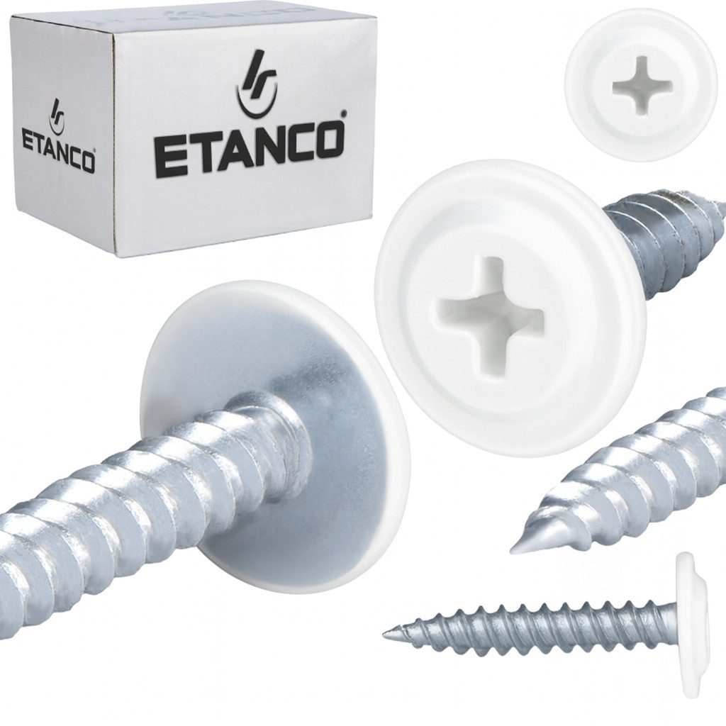 Etanco GmbH Blechschraube GM-S Flachkopf in verschiedenen RAL-Farben 4,2 x 25 mm 250 Stück